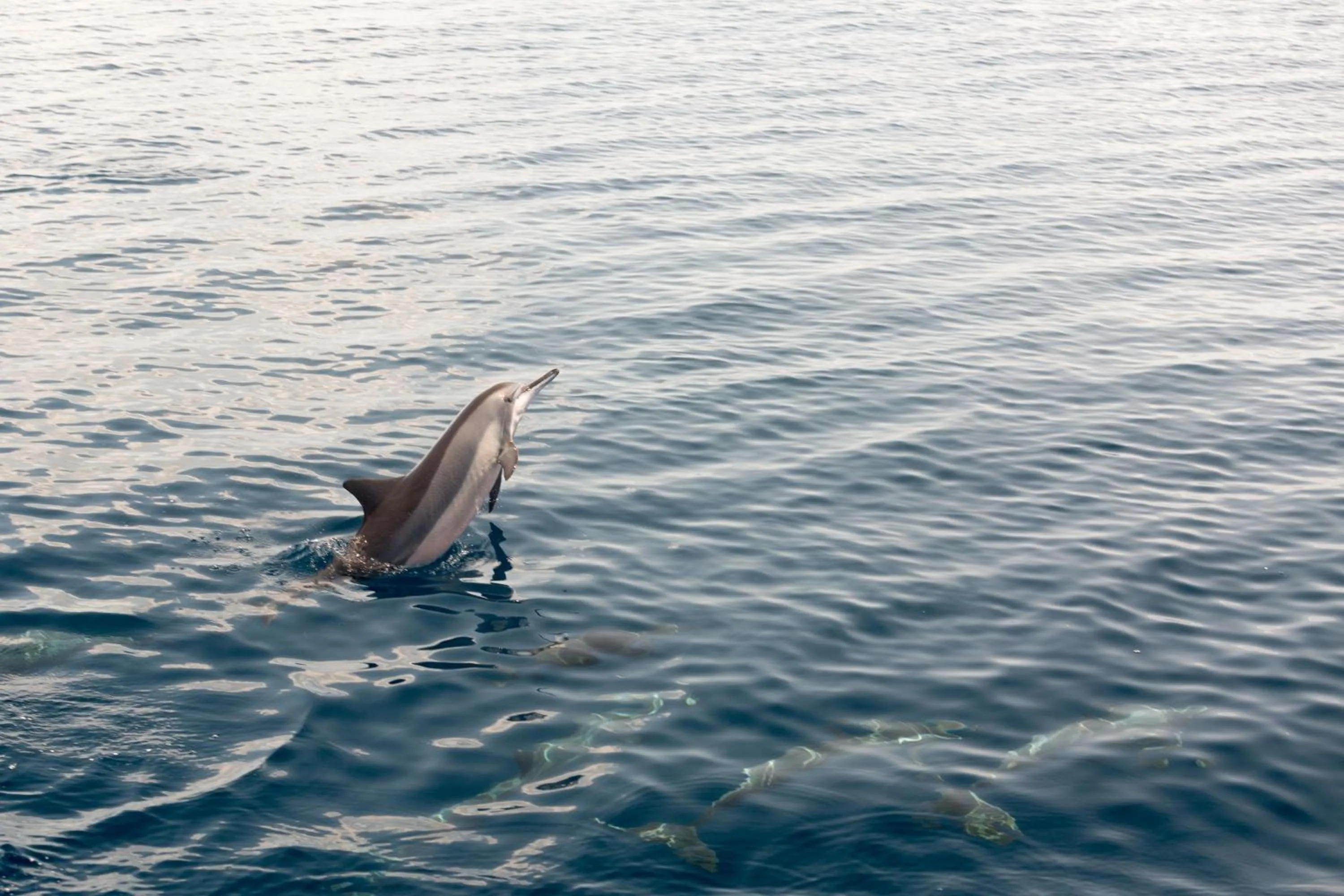 Activities in Equator Village Maldives