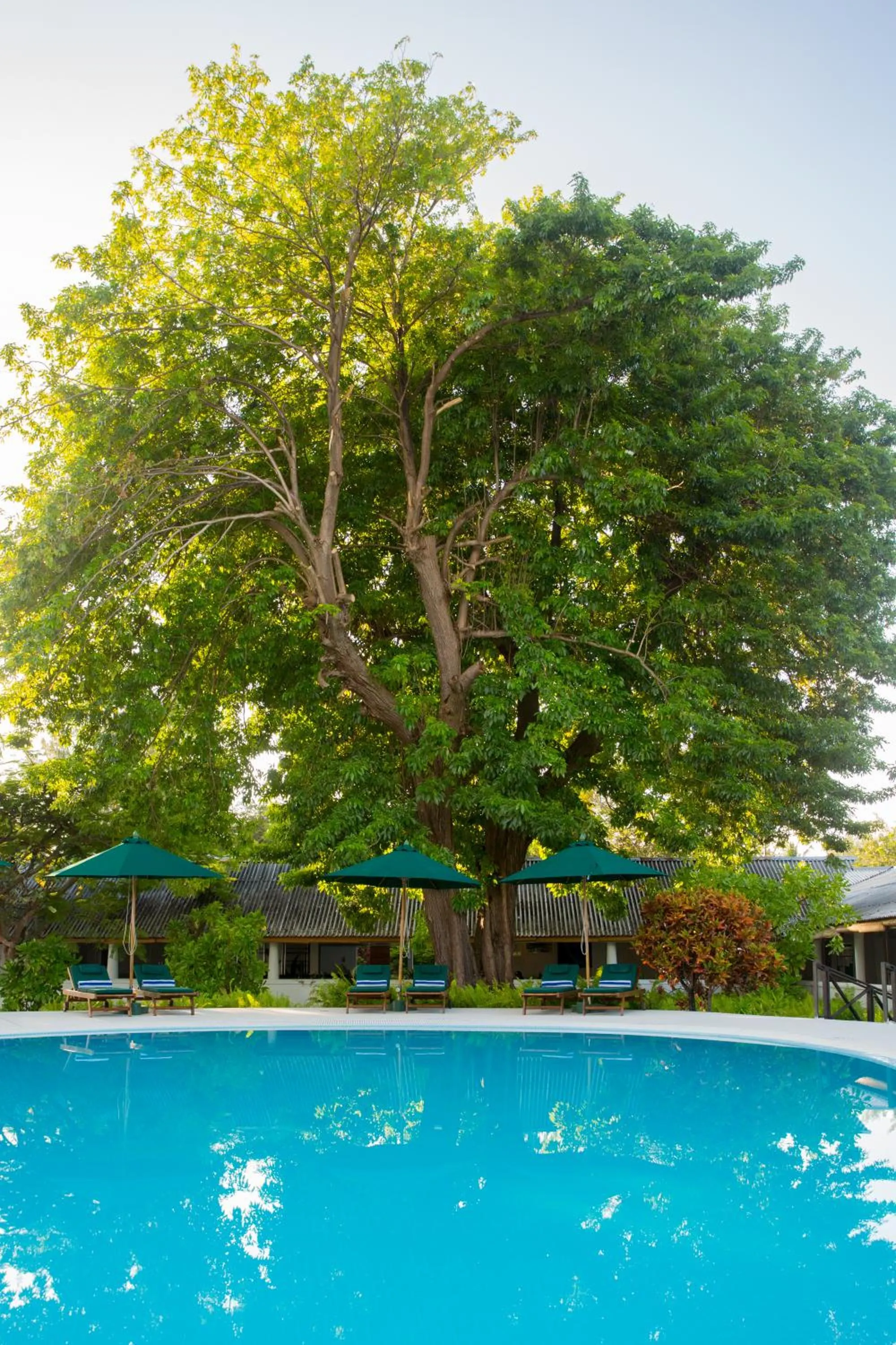 Swimming pool in Equator Village Maldives
