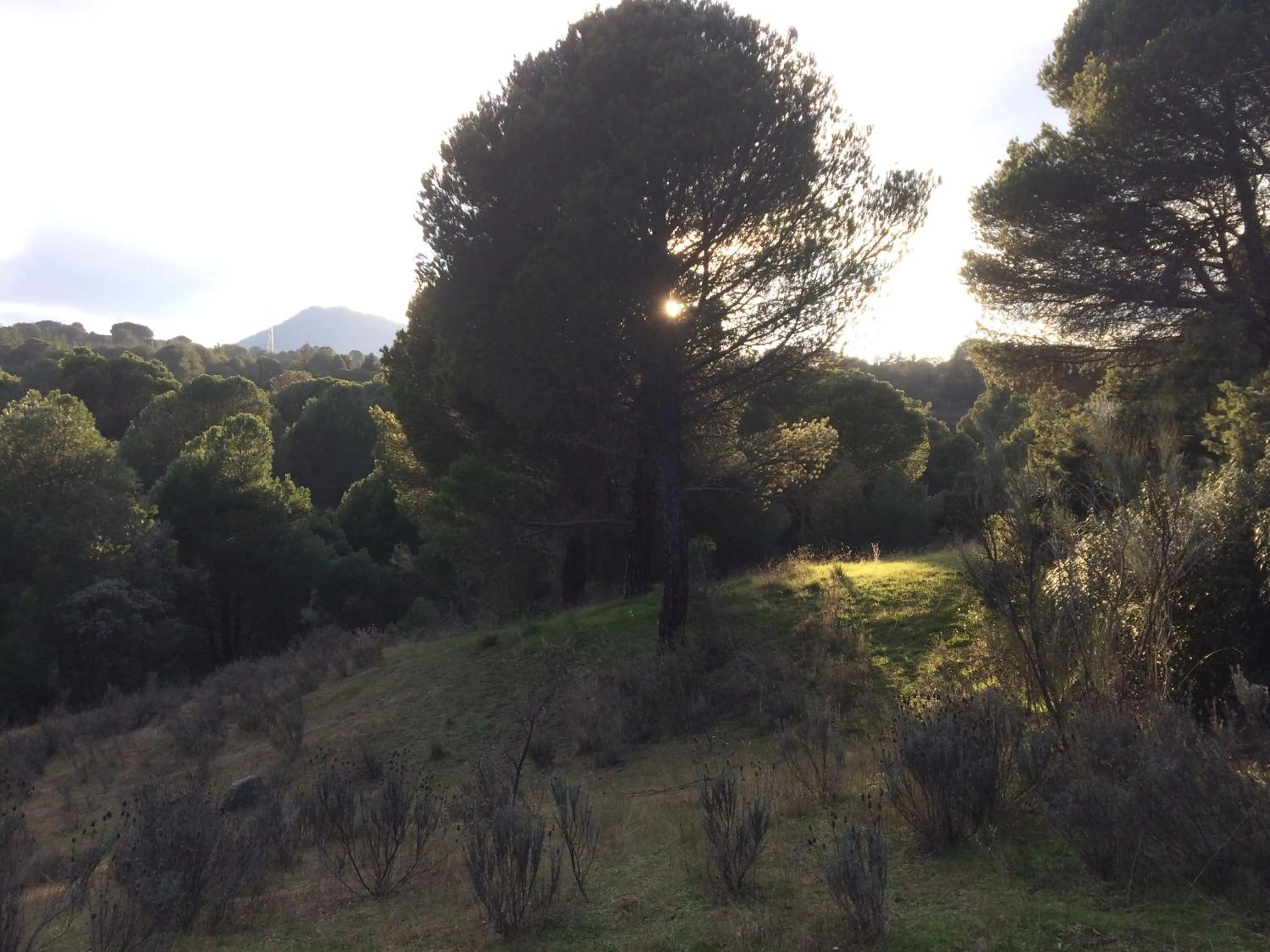 Natural landscape in Hotel Rural El Arca de Noé