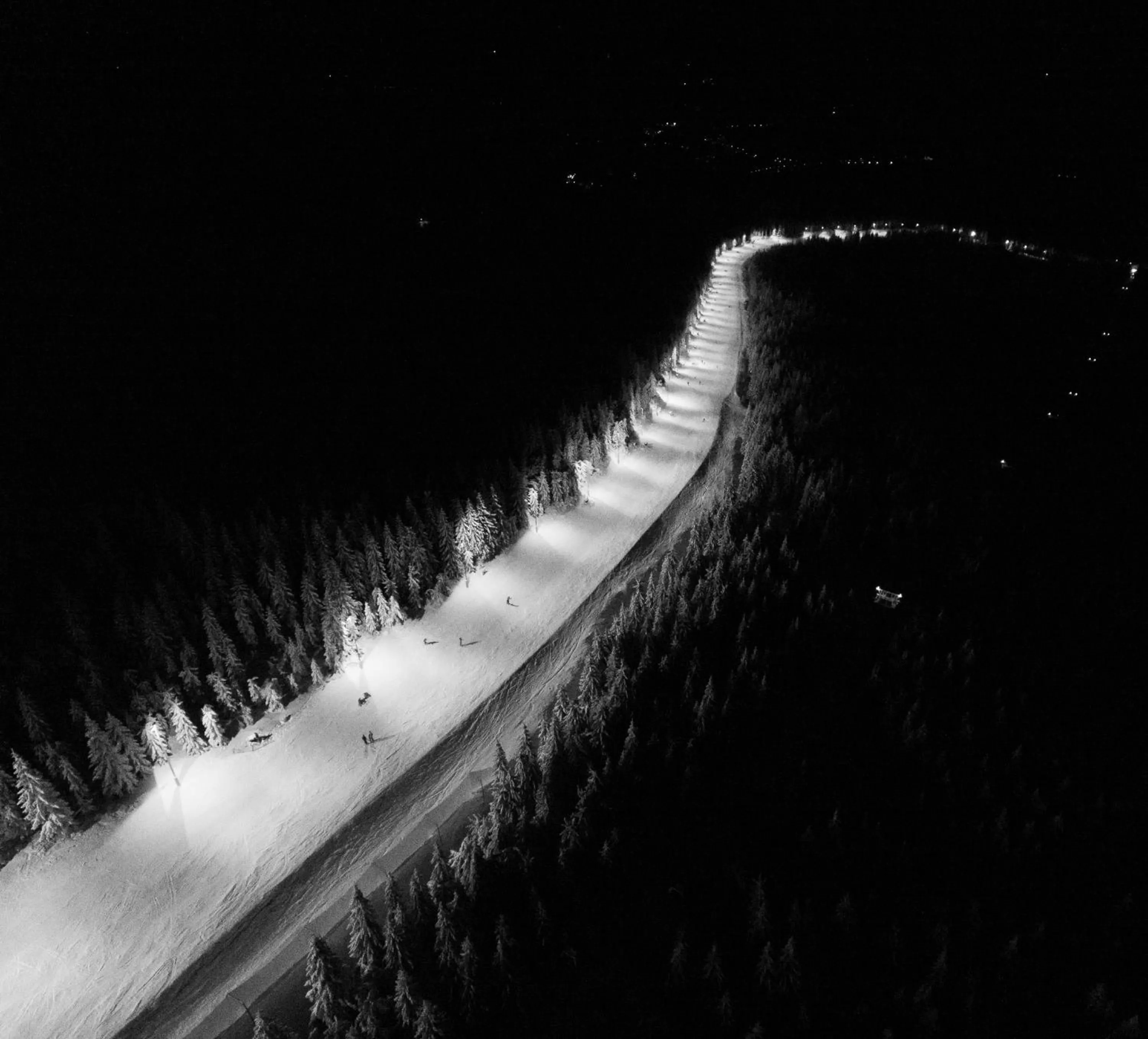 Night in Forest Park Resort & SPA