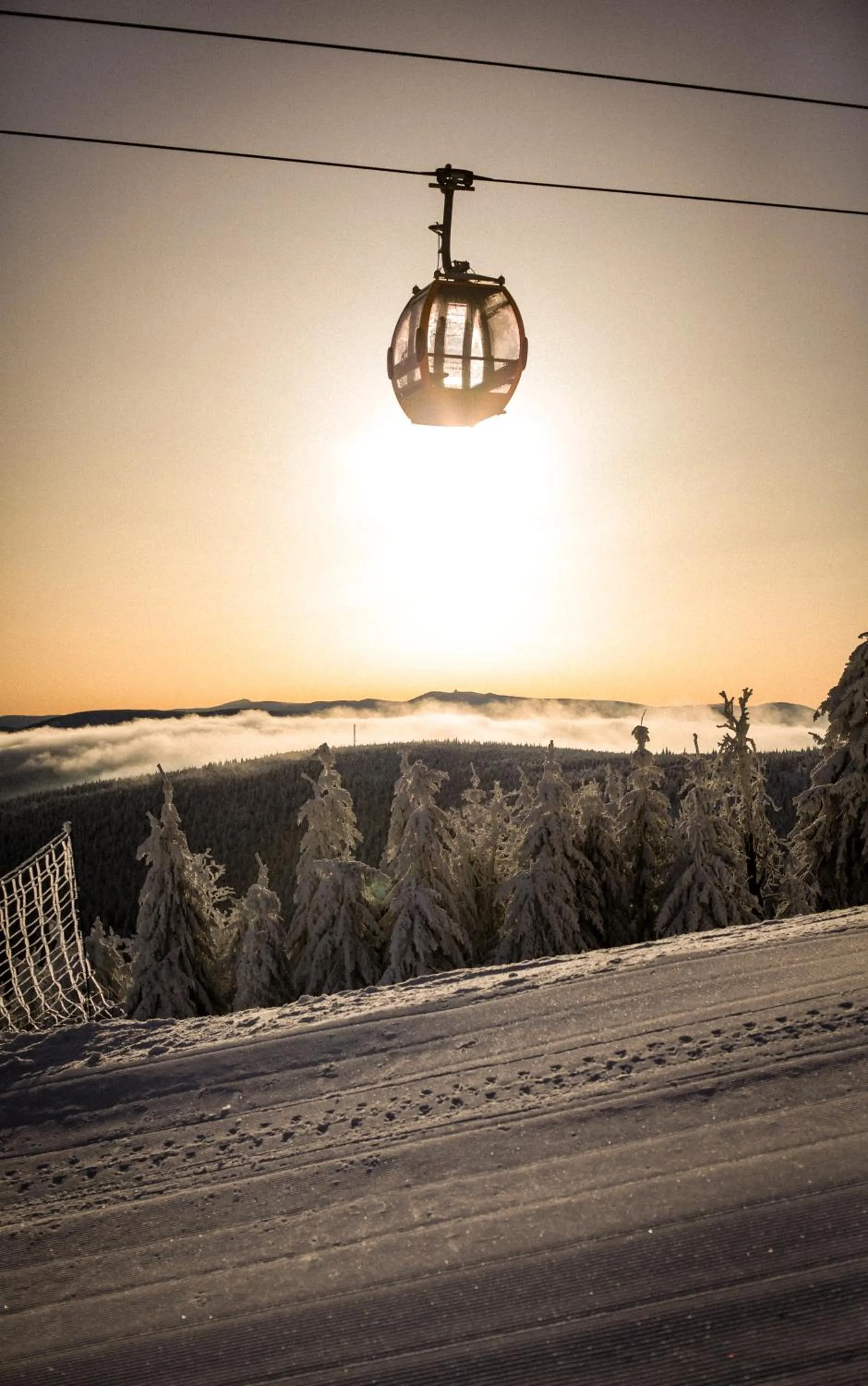 Day in Forest Park Resort & SPA