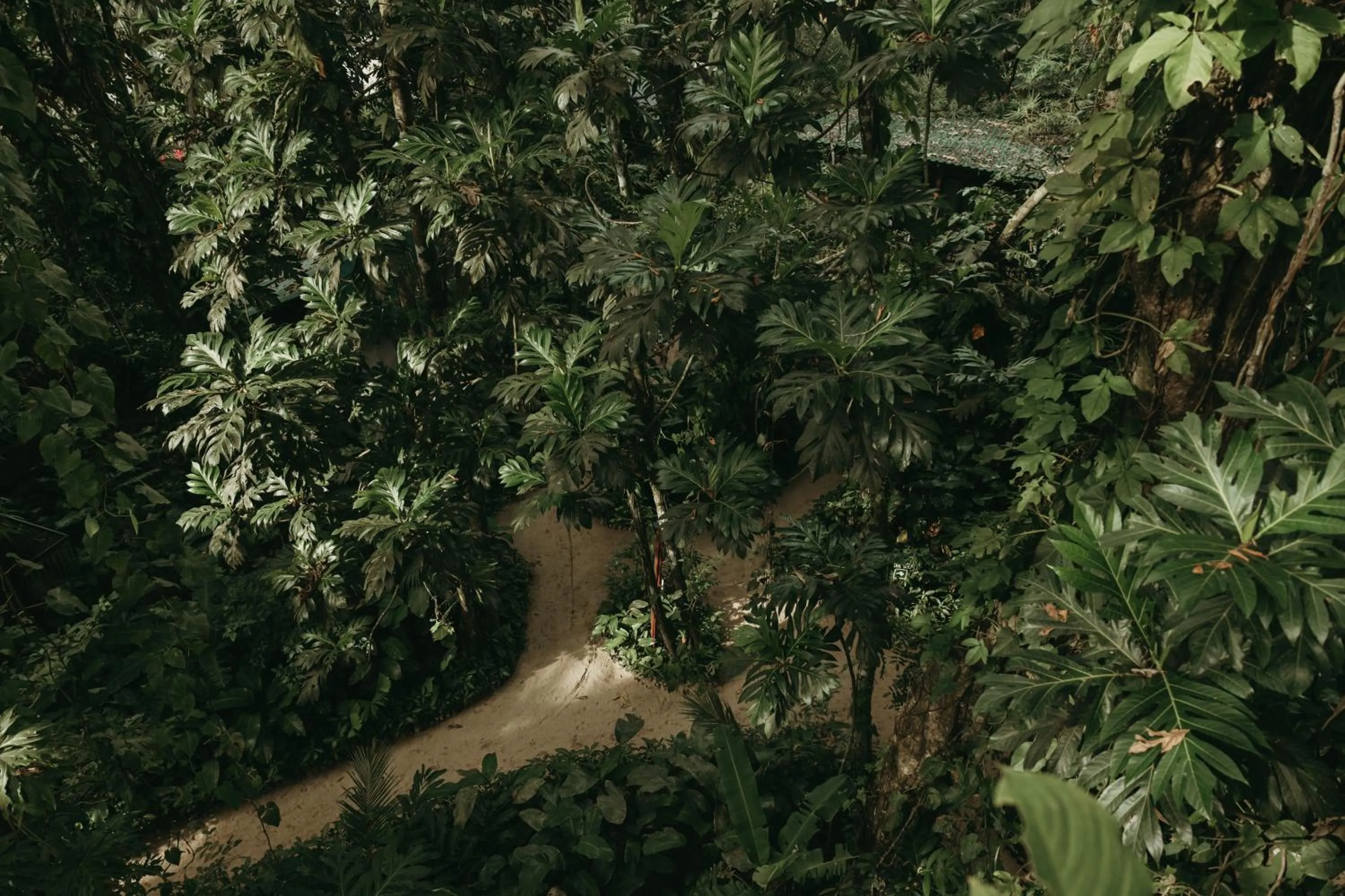 Garden in Palmar Beach Lodge
