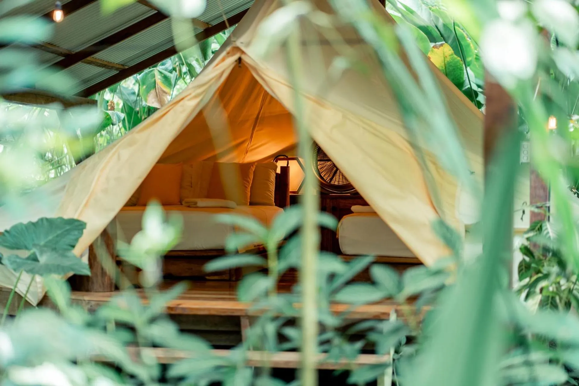 Rainforest Tent - Two Double Beds in Palmar Beach Lodge