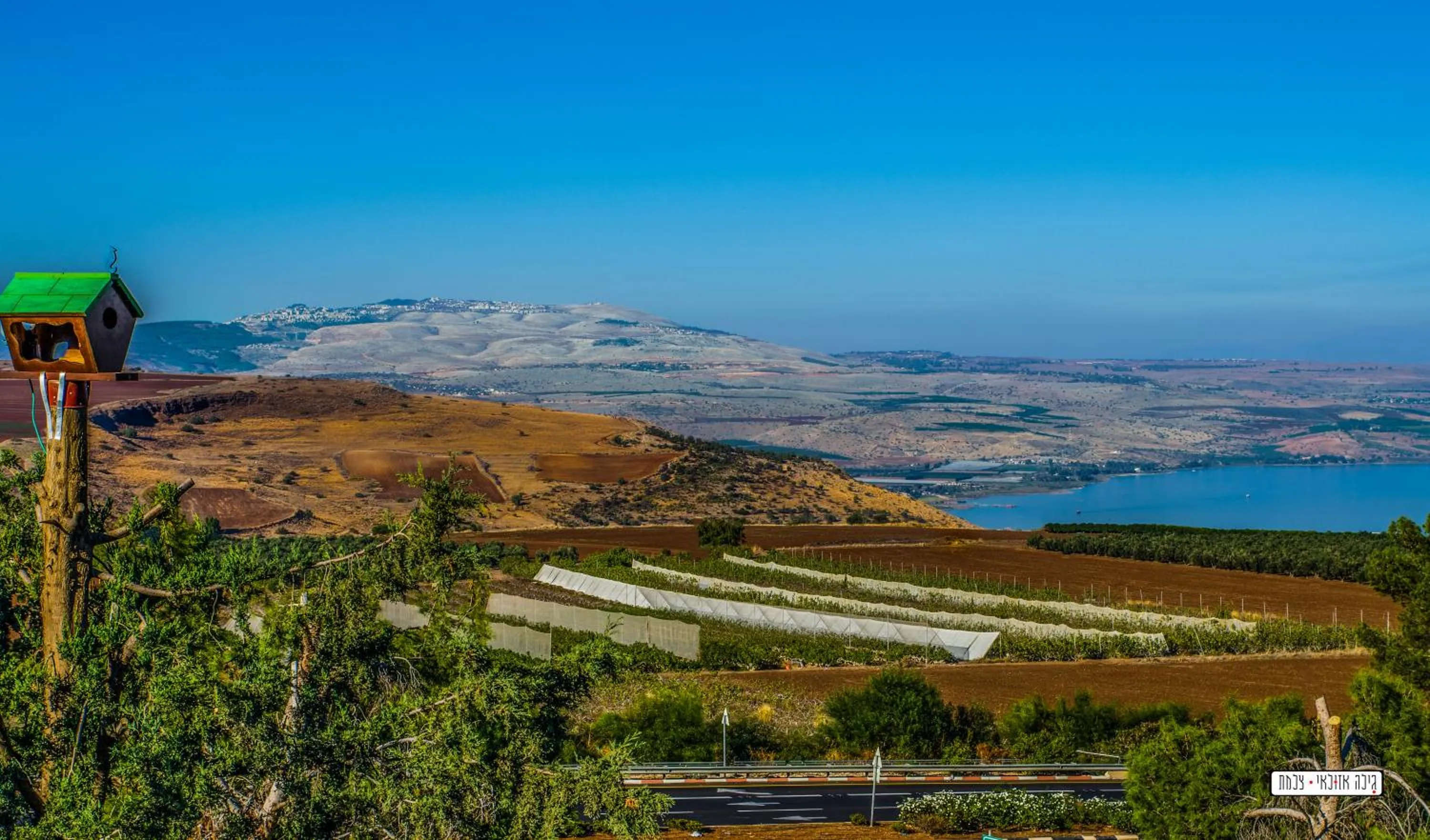 Natural landscape in Beautiful Lake View Wooden House