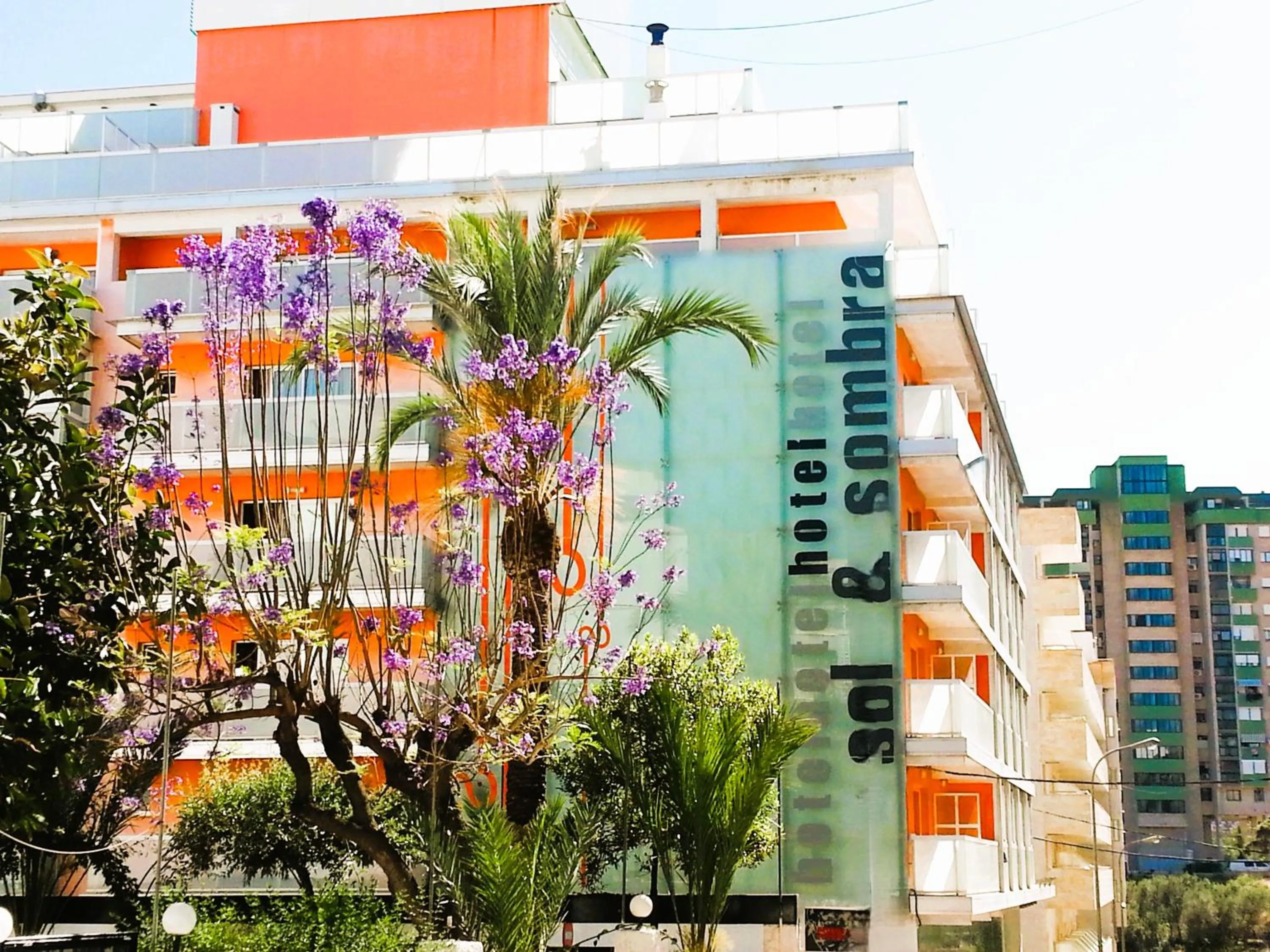 Property building in Sol y Sombra