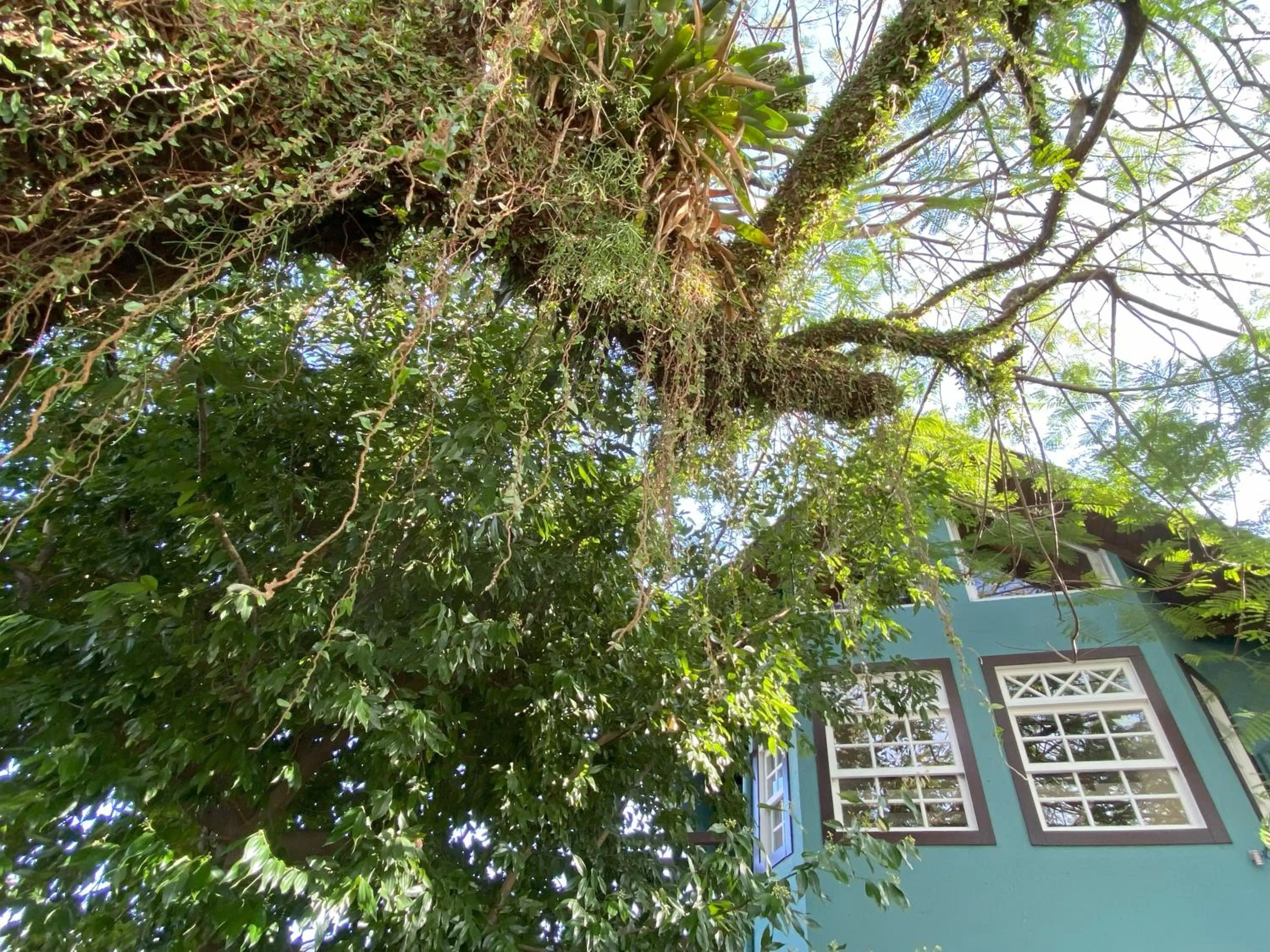 Property building in Solar das Pétalas Guest House