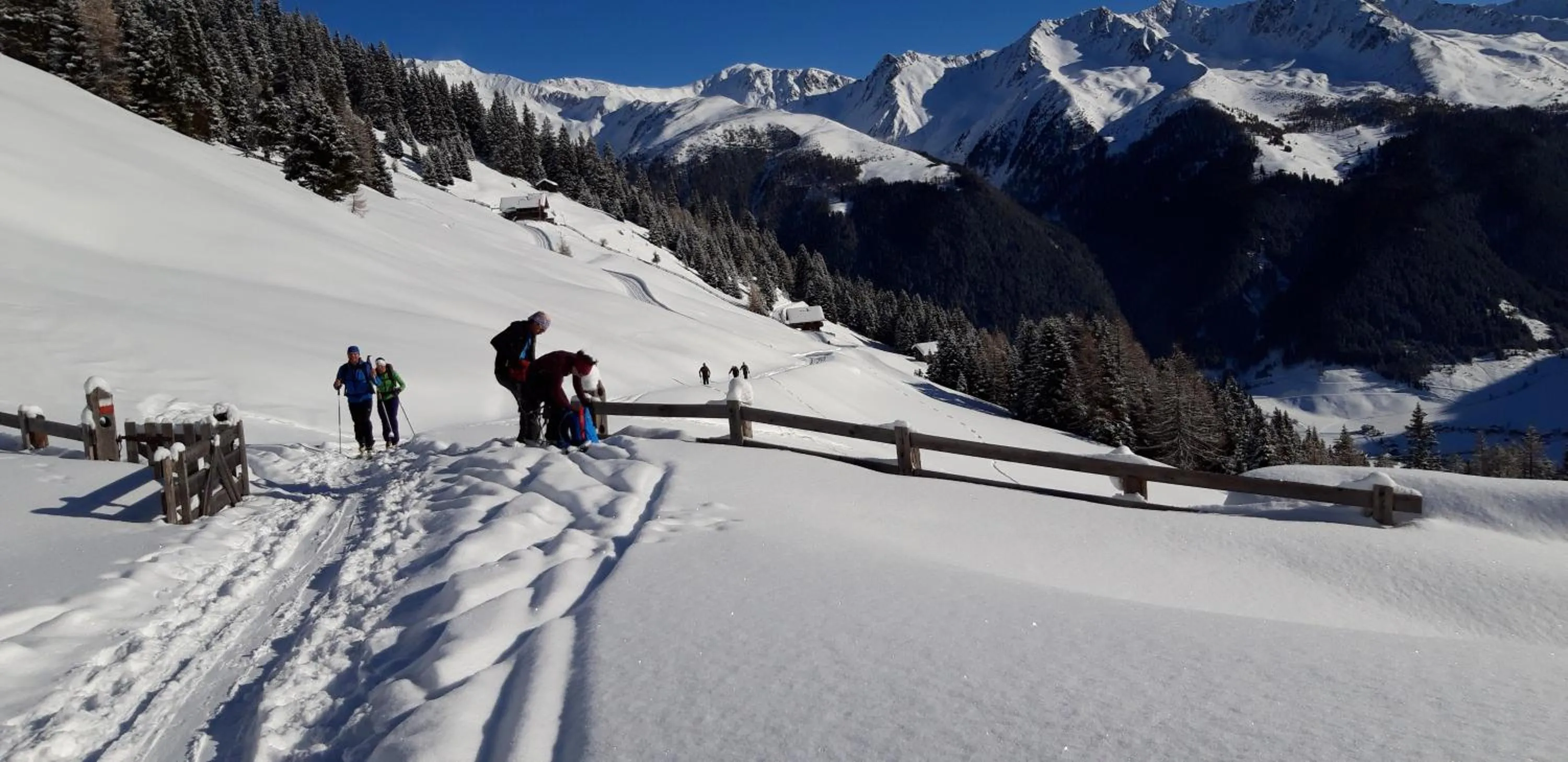Natural landscape in Haus Schaller