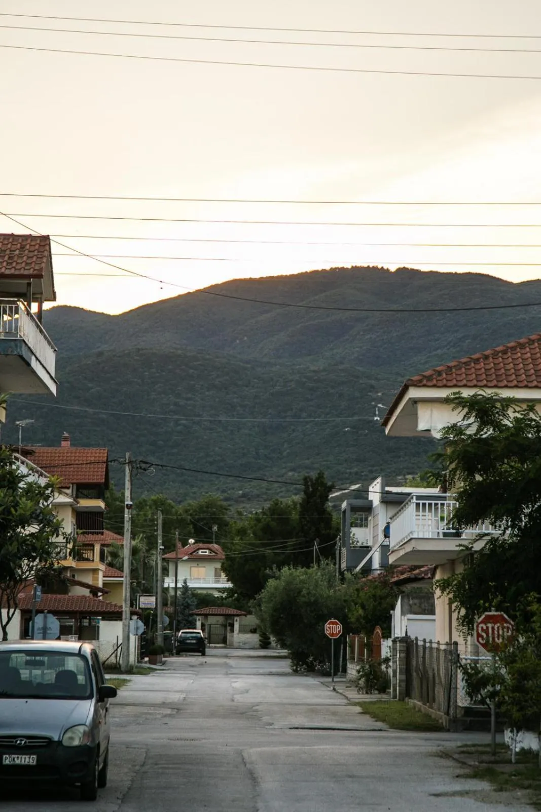 Natural landscape in Amalia Center