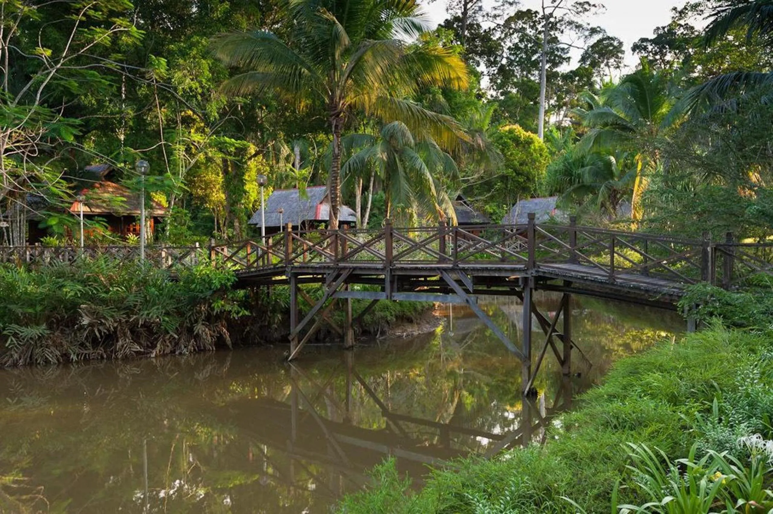 Area and facilities in Sepilok Nature Lodge - Formerly known as Sepilok Nature Resort