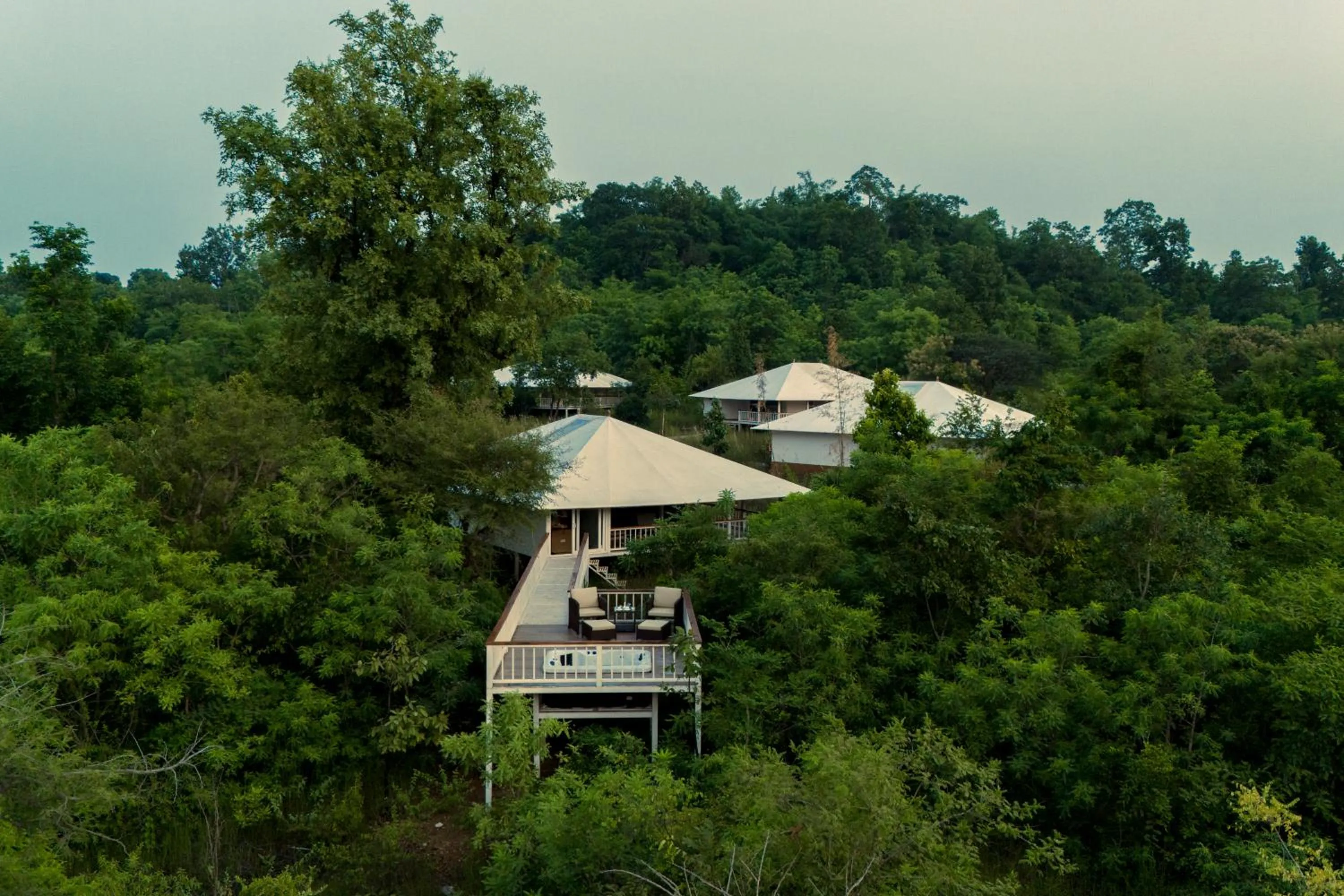 View (from property/room) in Tree of Life Ramvilas, Bandhavgarh