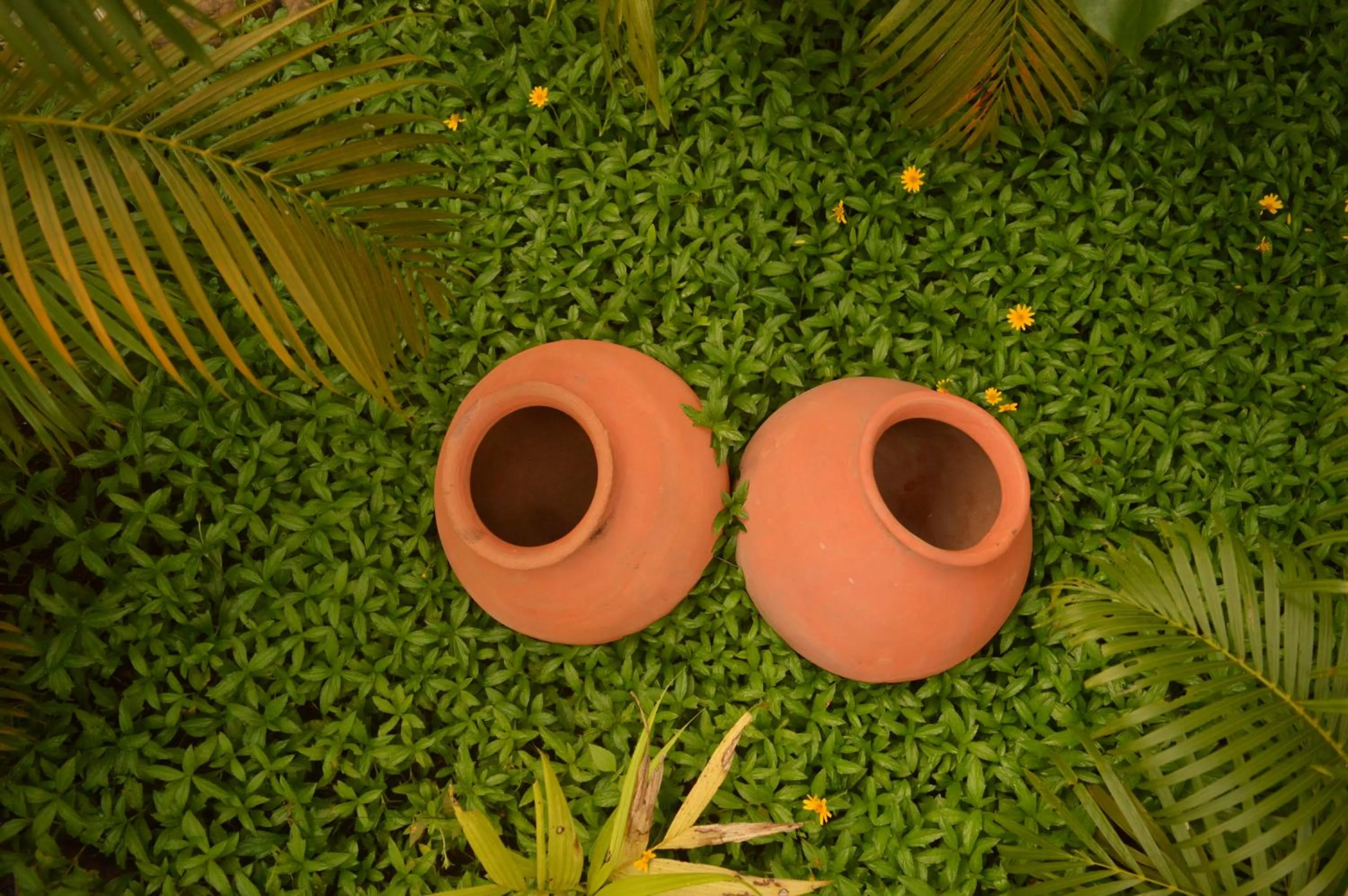 Garden view in Sea Shades Palolem Resort