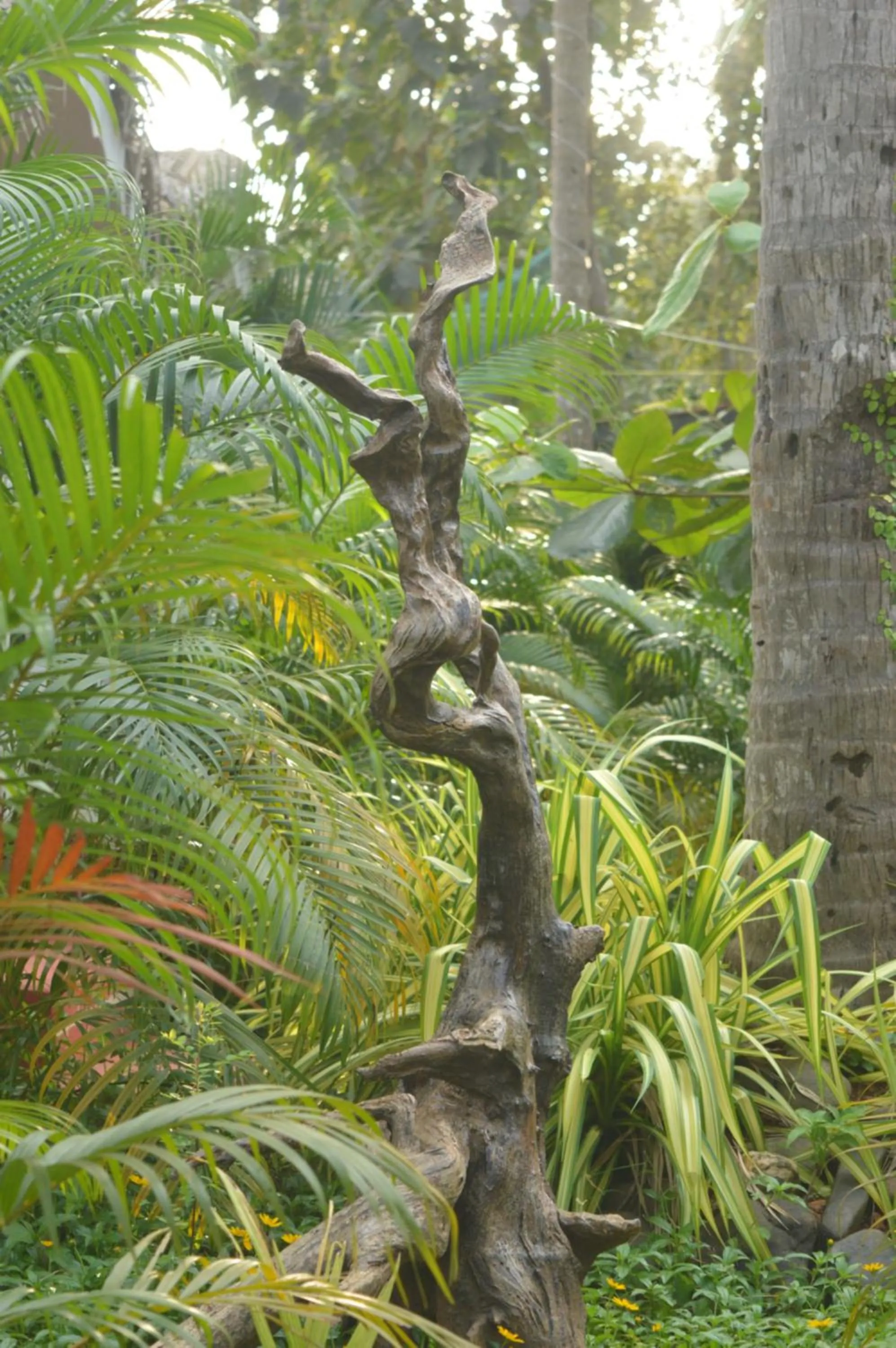 Garden view in Sea Shades Palolem Resort