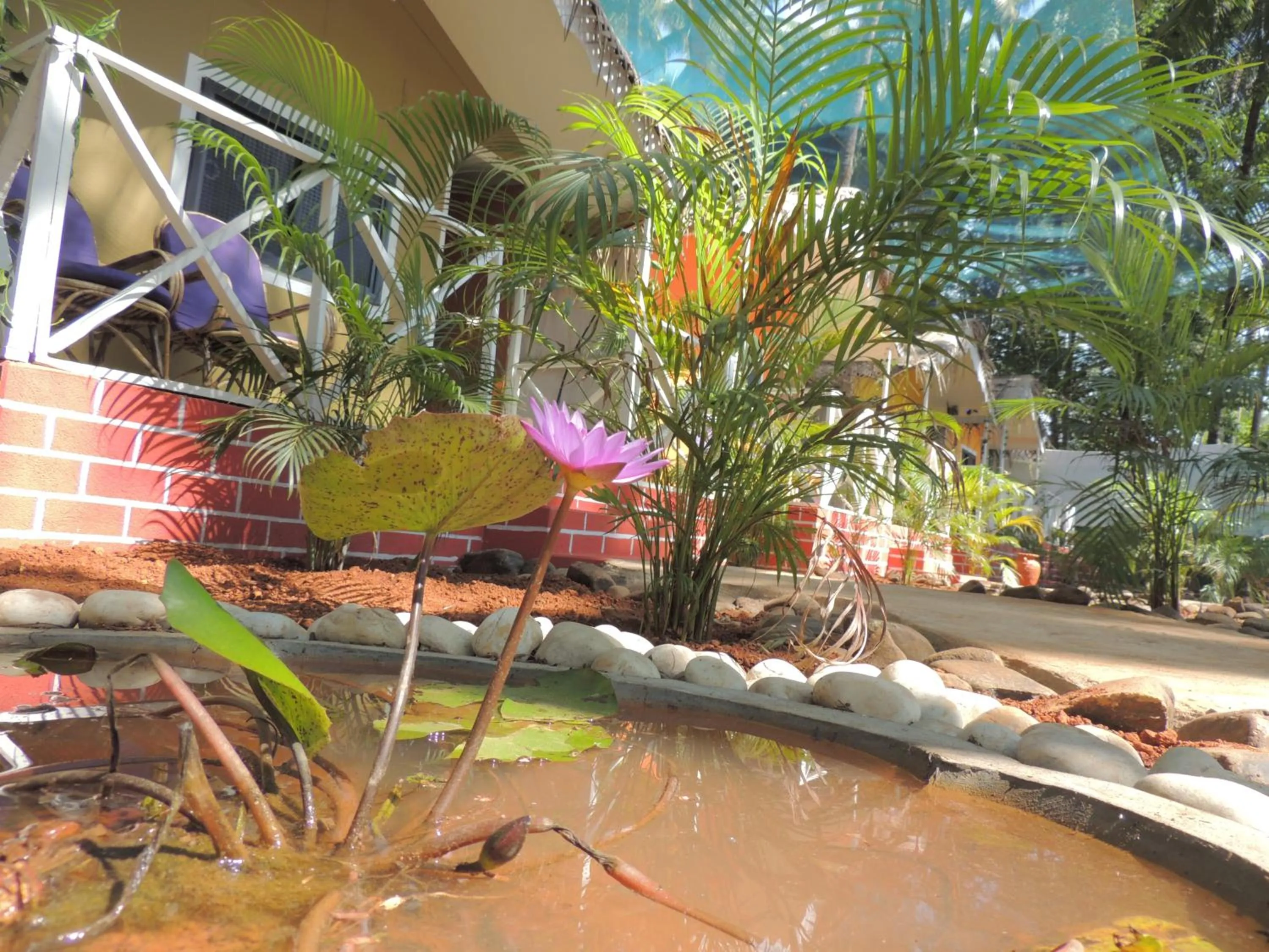 Garden view in Sea Shades Palolem Resort