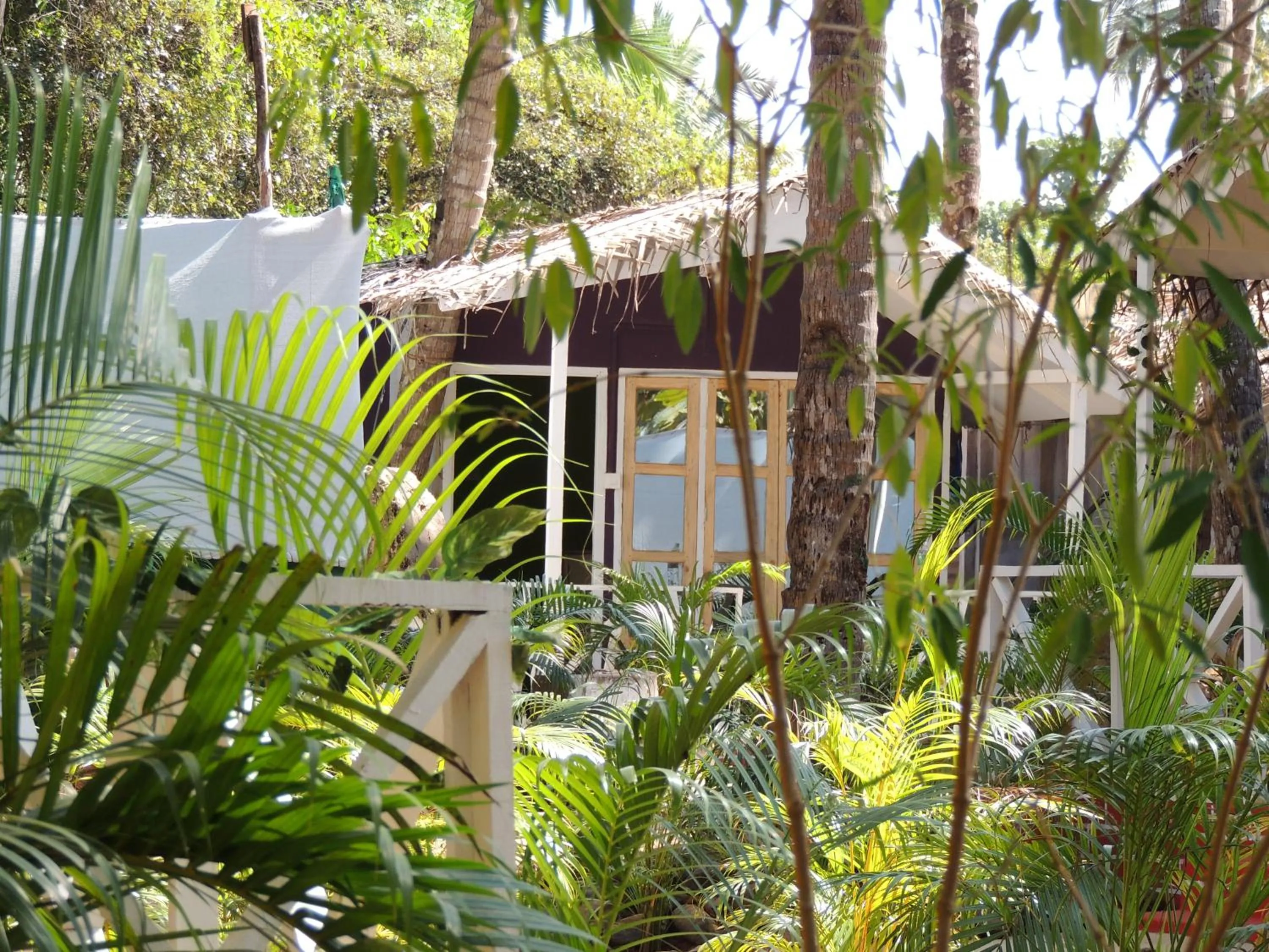 Garden view in Sea Shades Palolem Resort