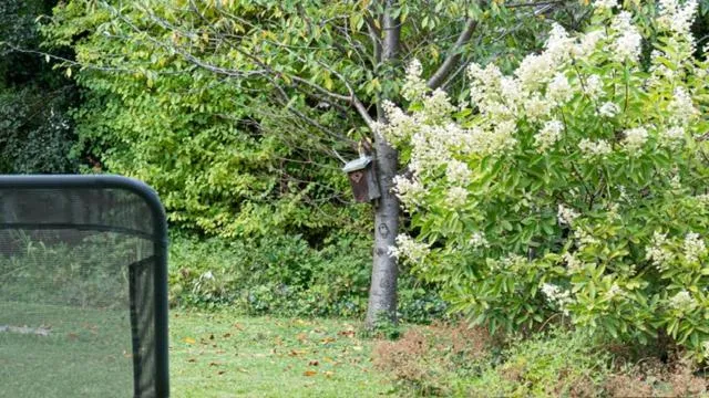 Hotel Villa Rückert