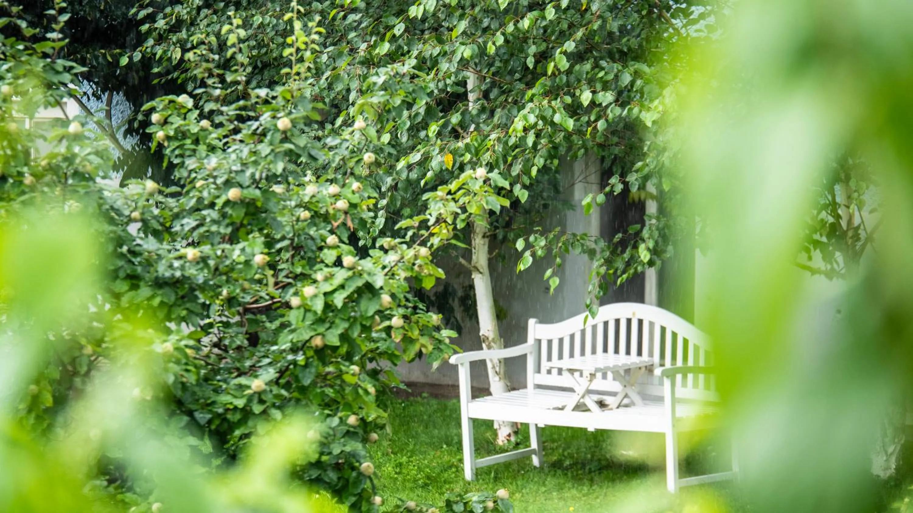 Spring in Hotel Villa Rückert