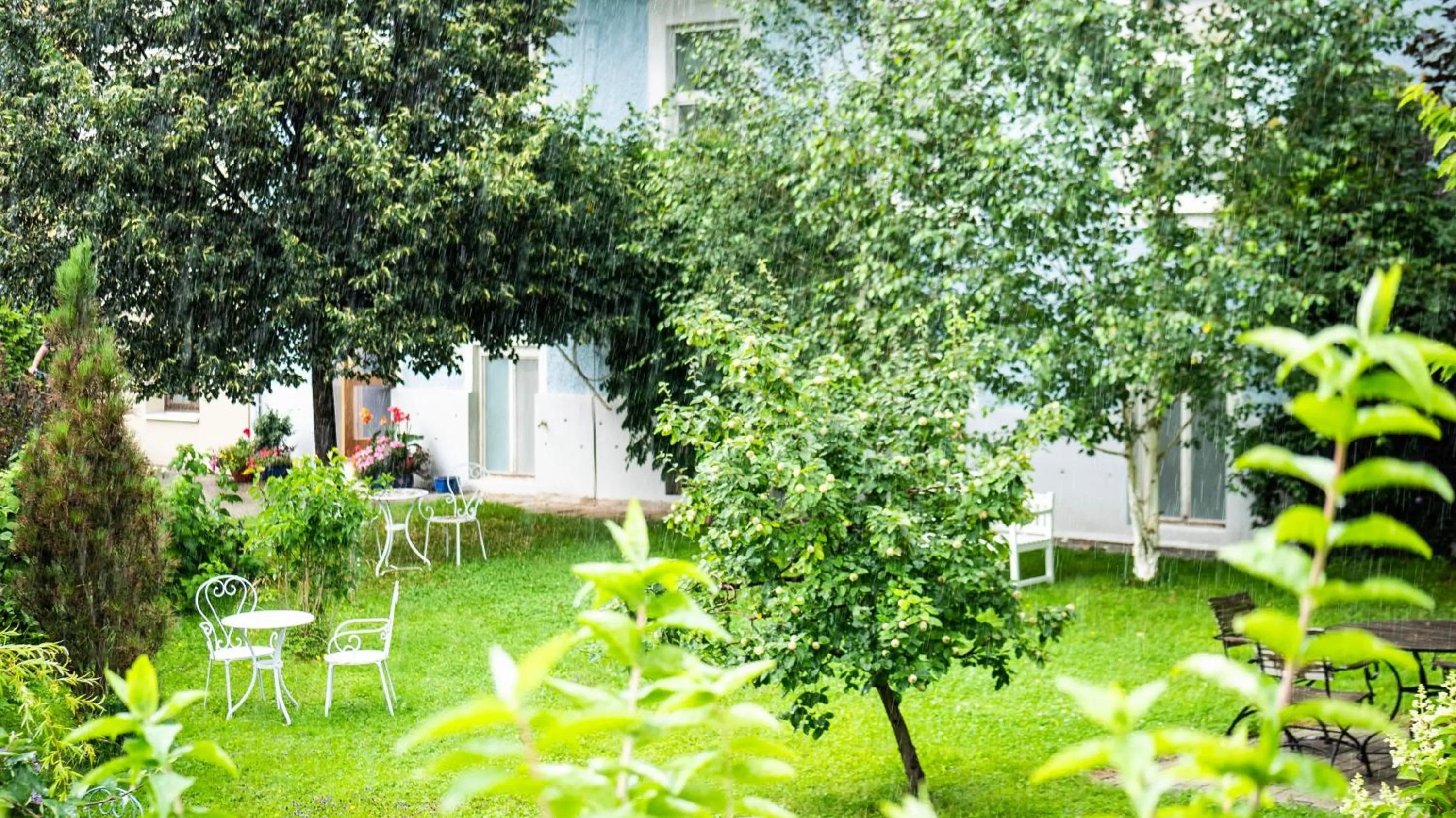 Spring in Hotel Villa Rückert