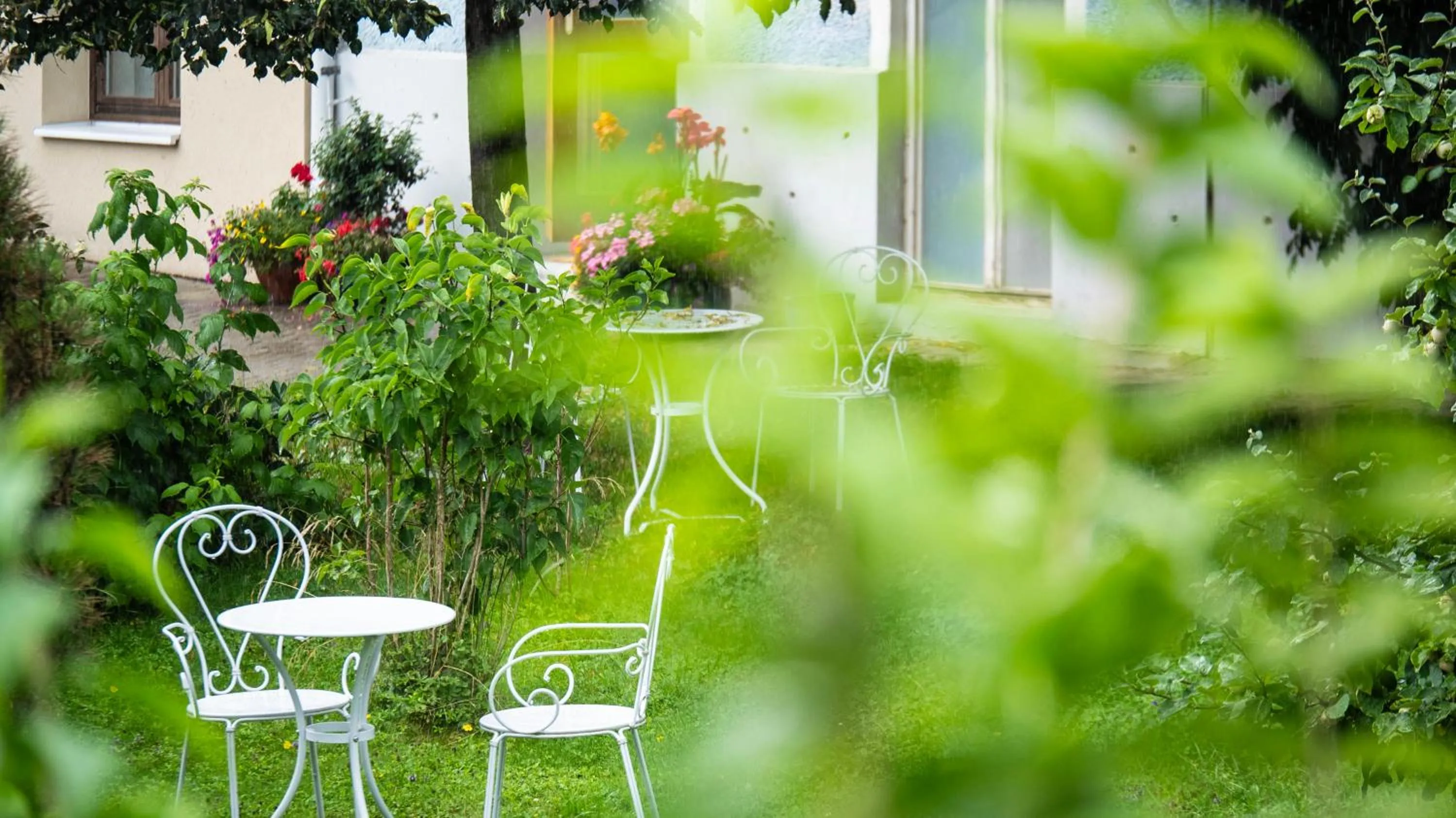 Spring in Hotel Villa Rückert