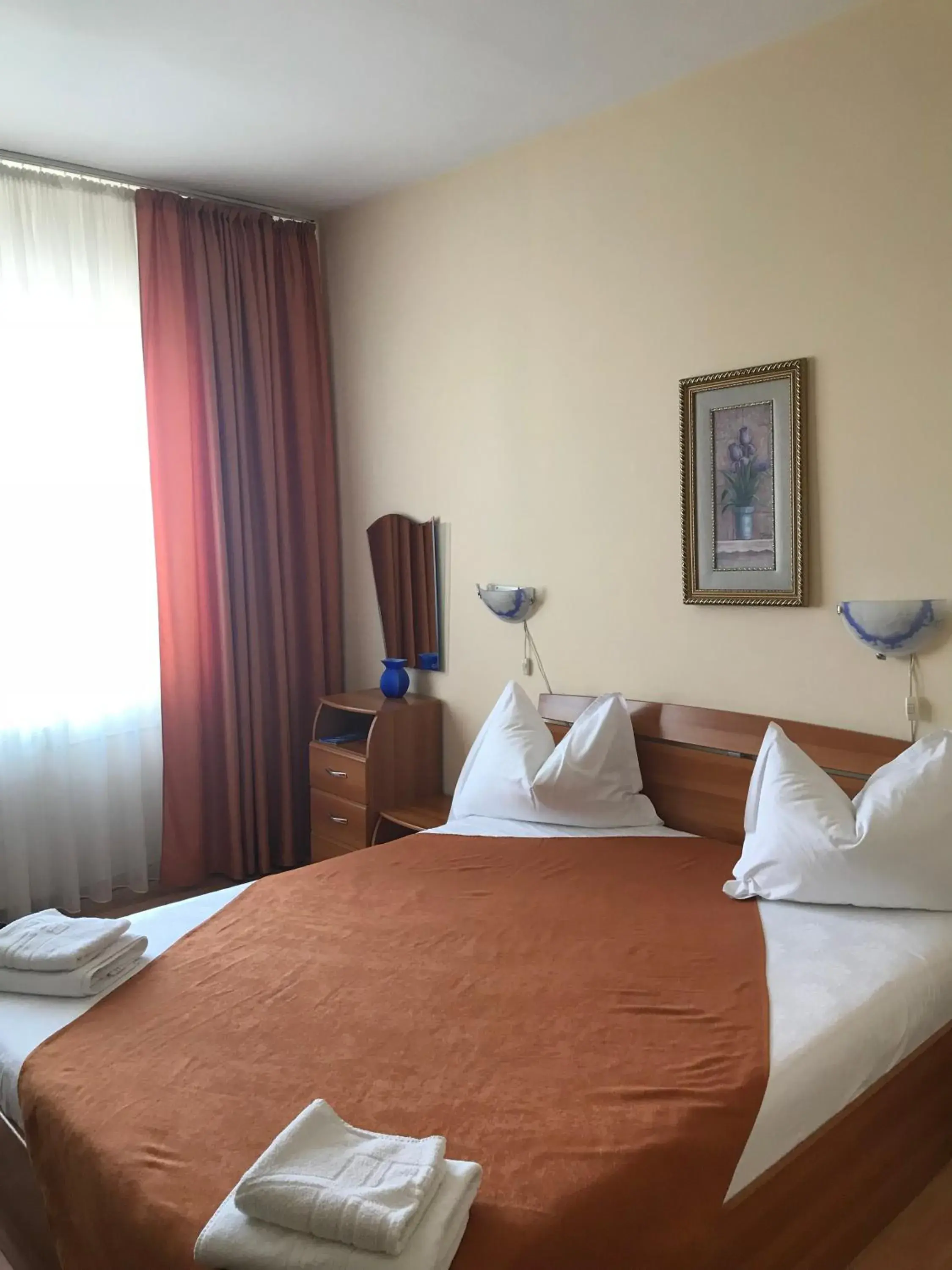 Double Room in Hotel Triumph Double Room in Hotel Triumph