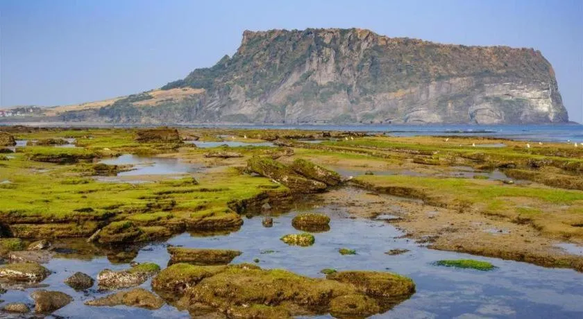 Seogwipo (Seongsan) Beach Hotel