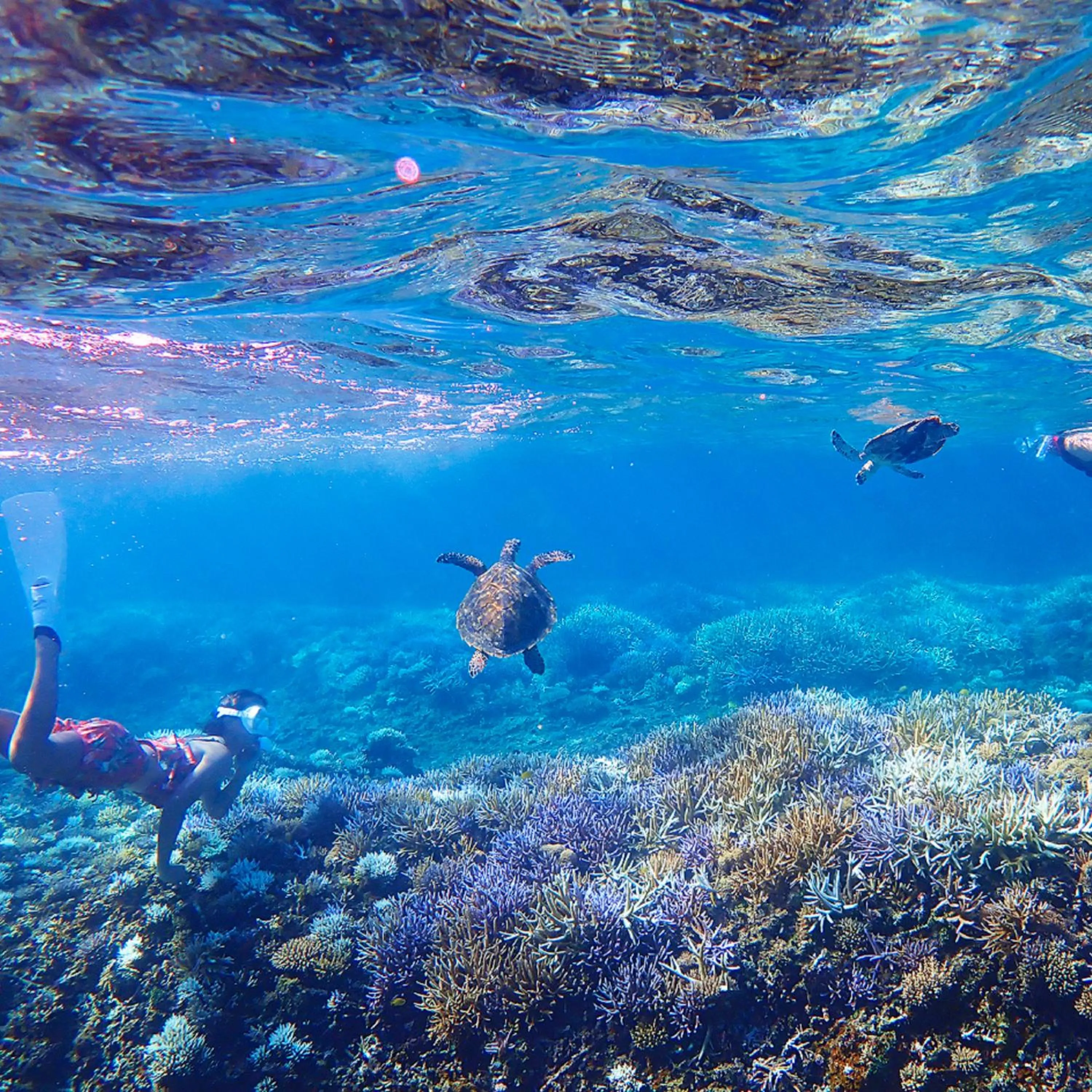 Snorkeling in Iriomote Hotel by Hoshino Resorts