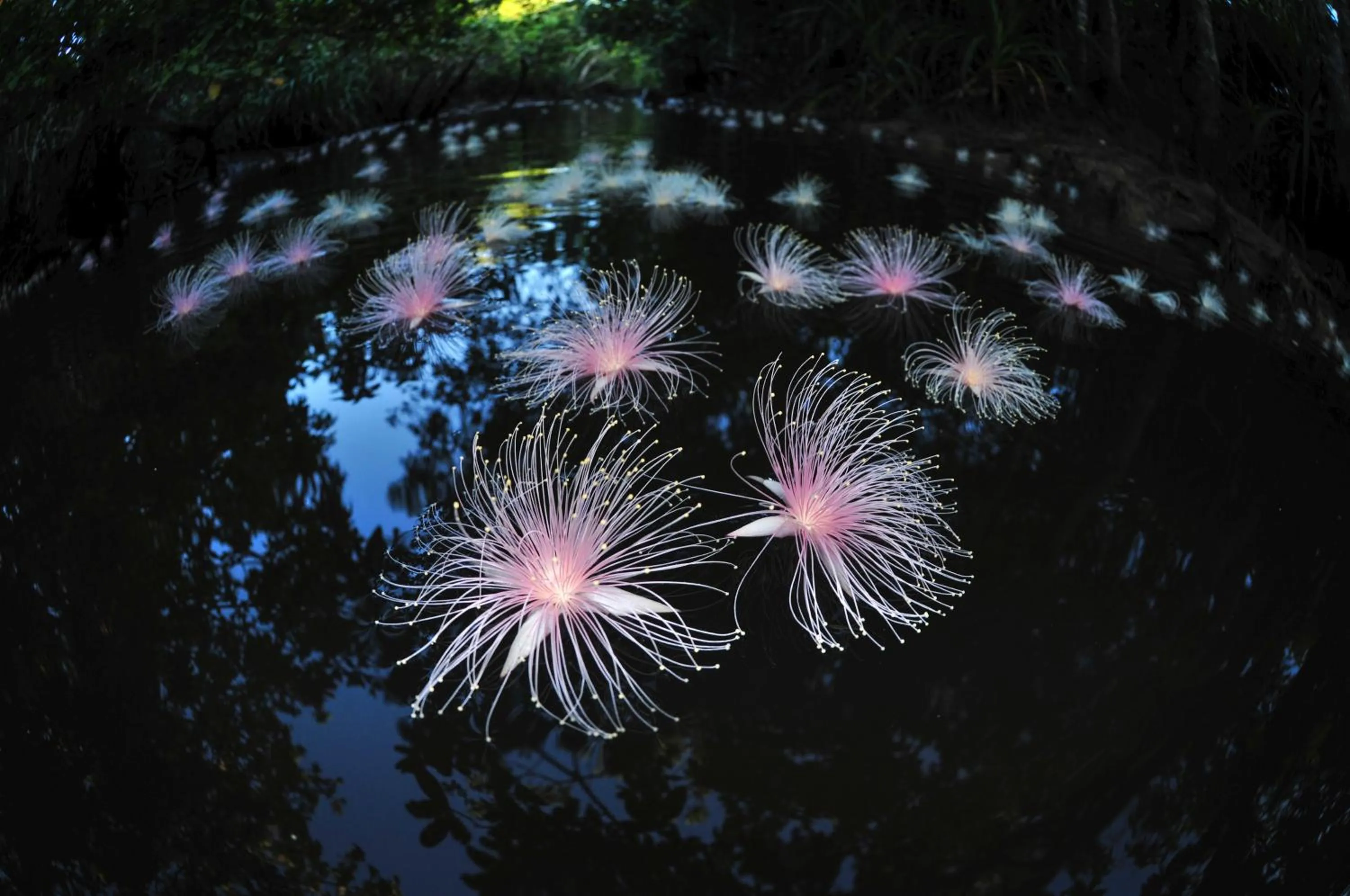 Iriomote Hotel by Hoshino Resorts