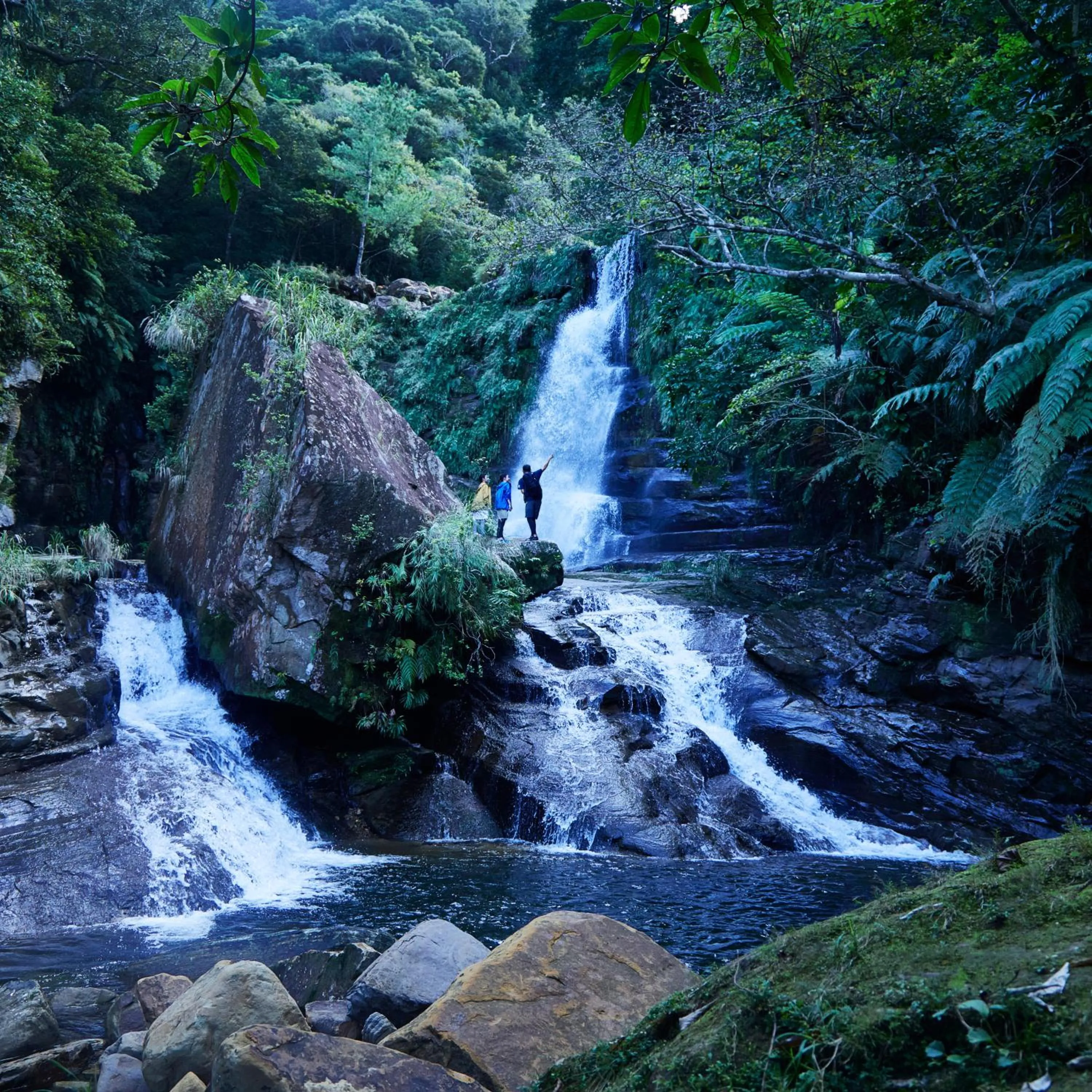 Iriomote Hotel by Hoshino Resorts