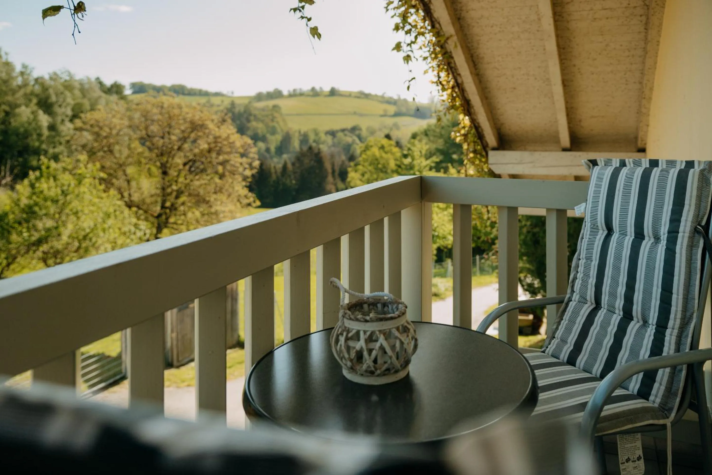 Balcony/Terrace in Gästehaus Edhof
