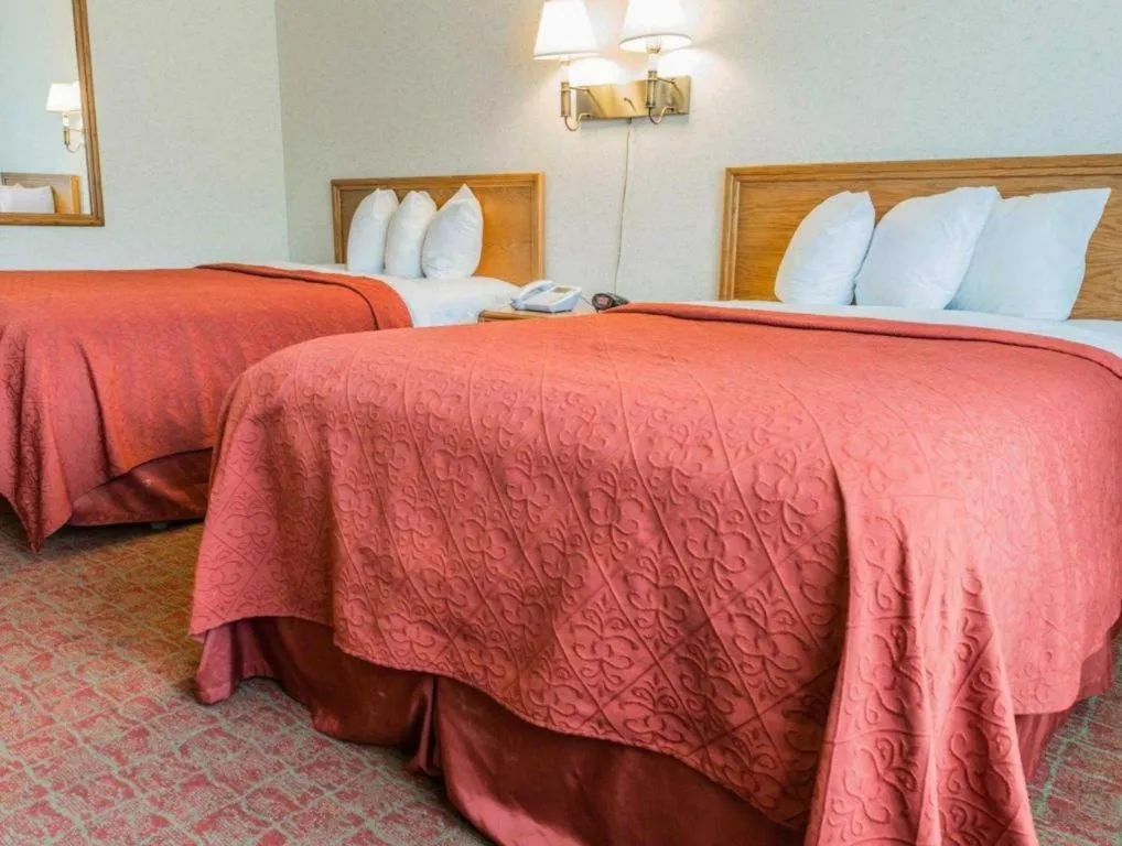Bed in Quality Inn Royle