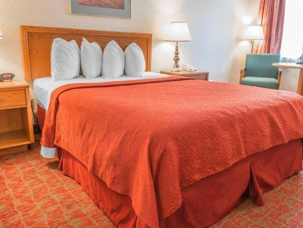 Bed in Quality Inn Royle
