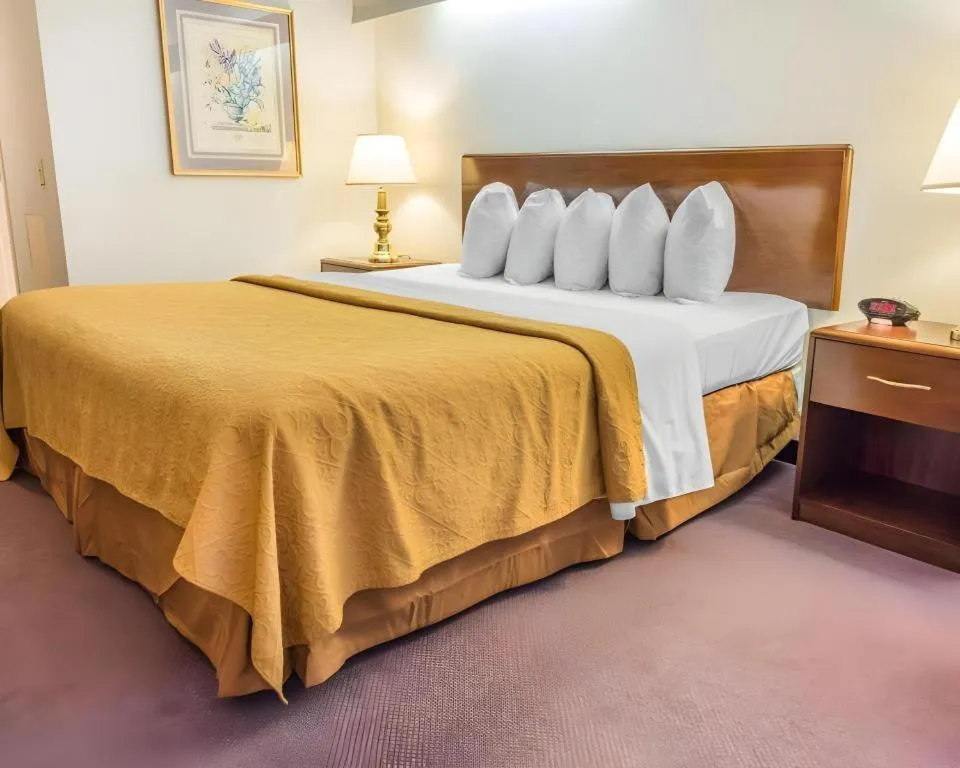 Bed in Quality Inn Royle