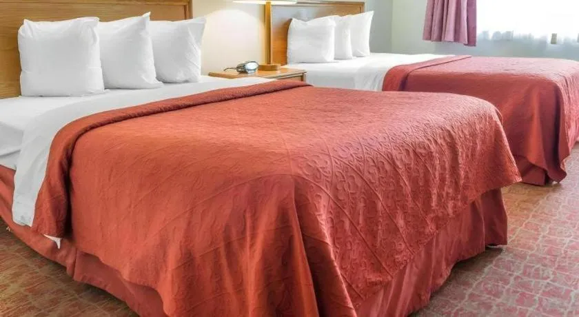 Bed in Quality Inn Royle