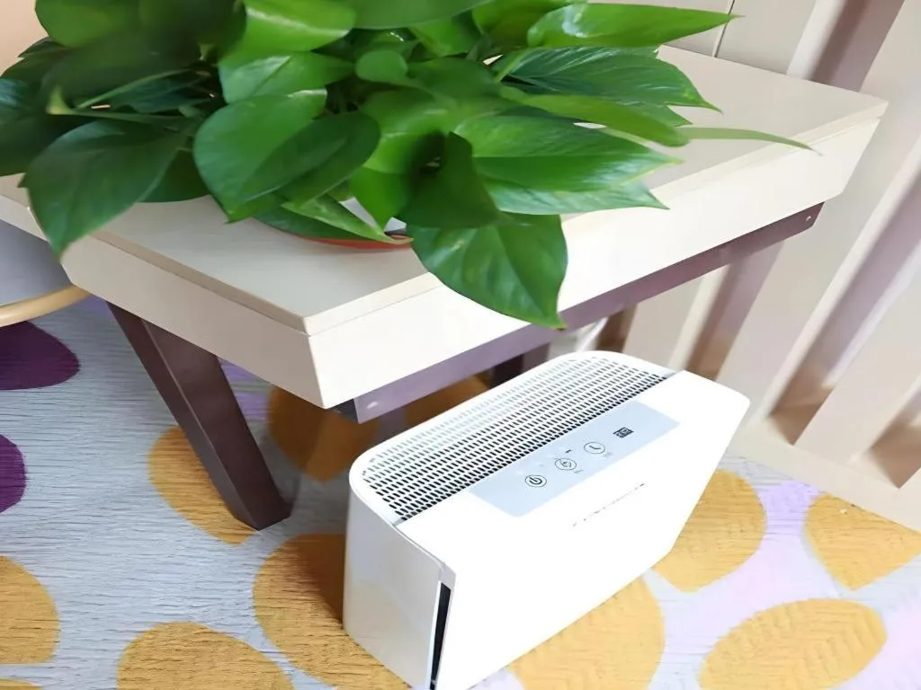 Lavande Hotels Tianjin Huaming Binhai International Airport