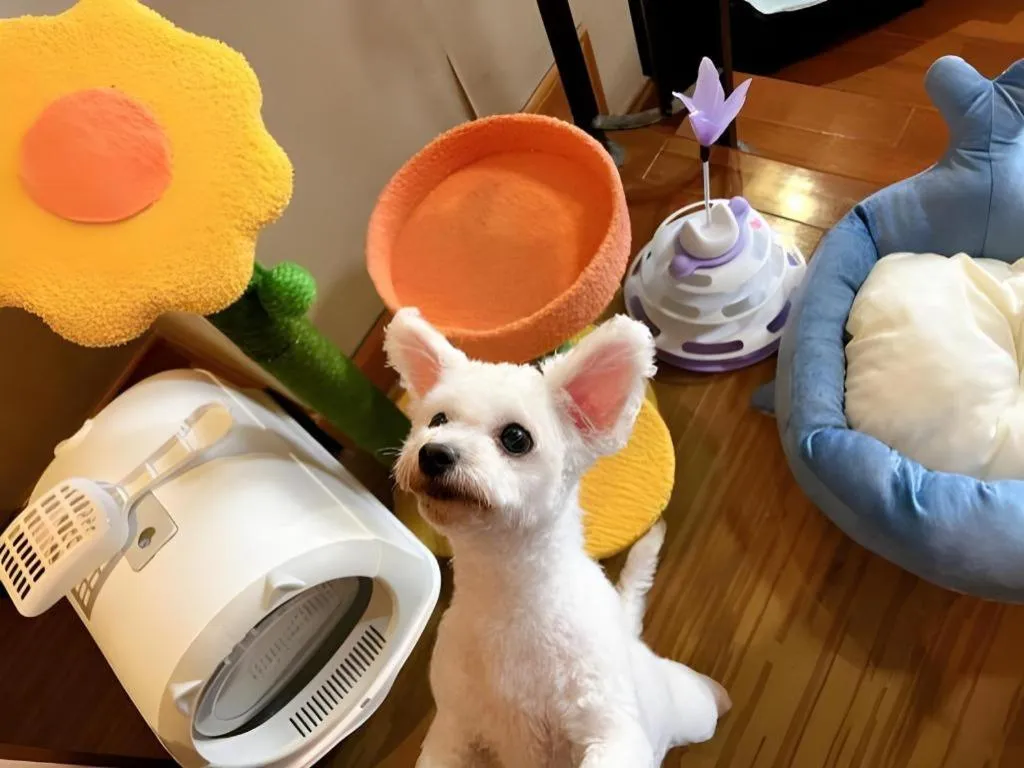 Country Garden Phoenix Hotel Xinhui Jiangmen