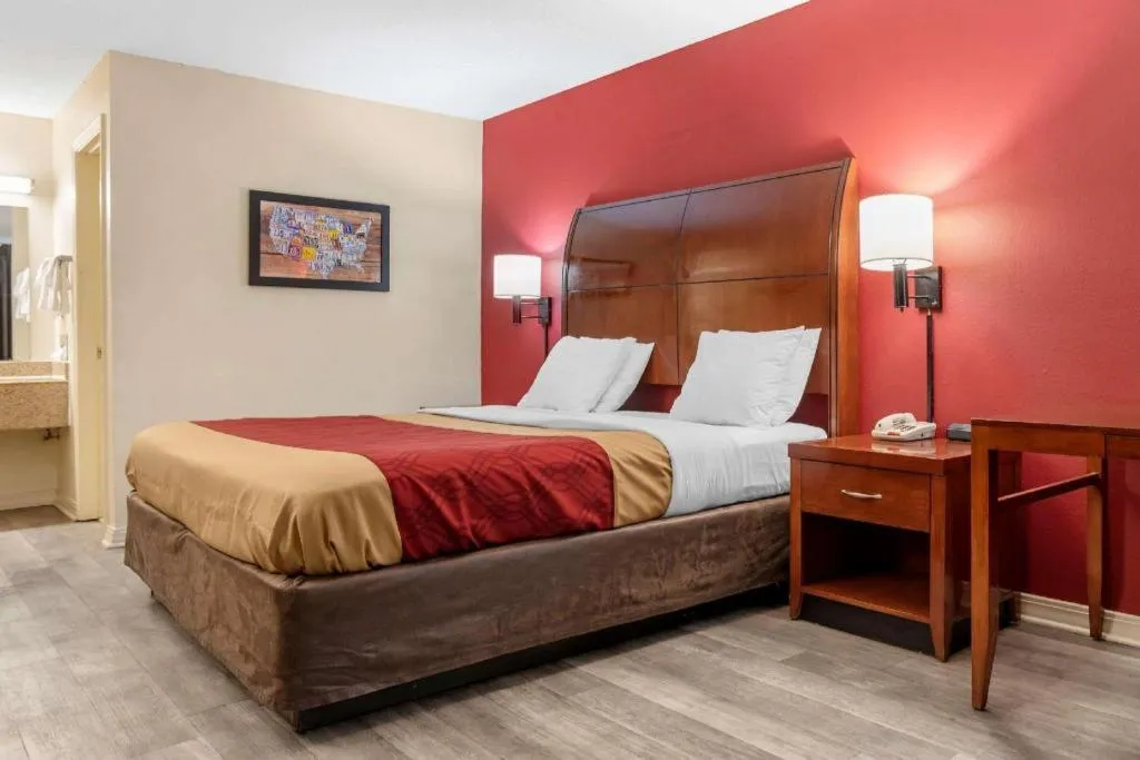 Bed in Econo Lodge Pearl - Jackson