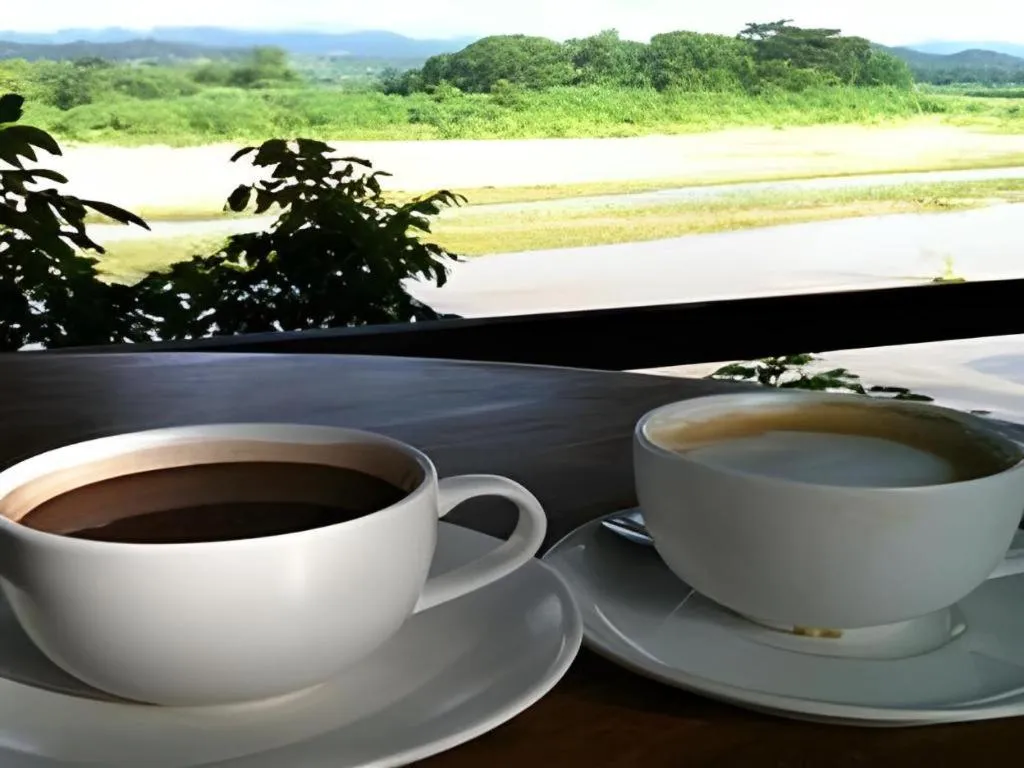 P&P Coffee & Resort Maesariang