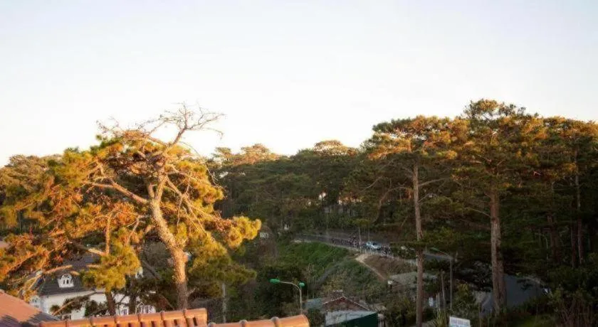 Hoa Sen Vang Hotel Dalat