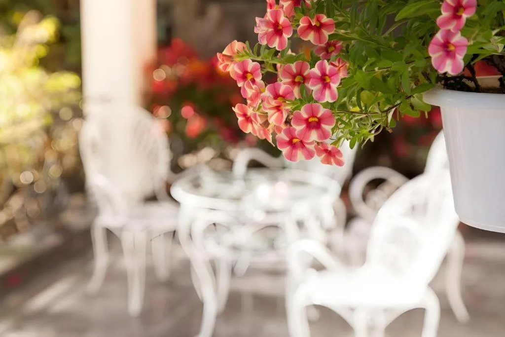 Hoa Sen Vang Hotel Dalat