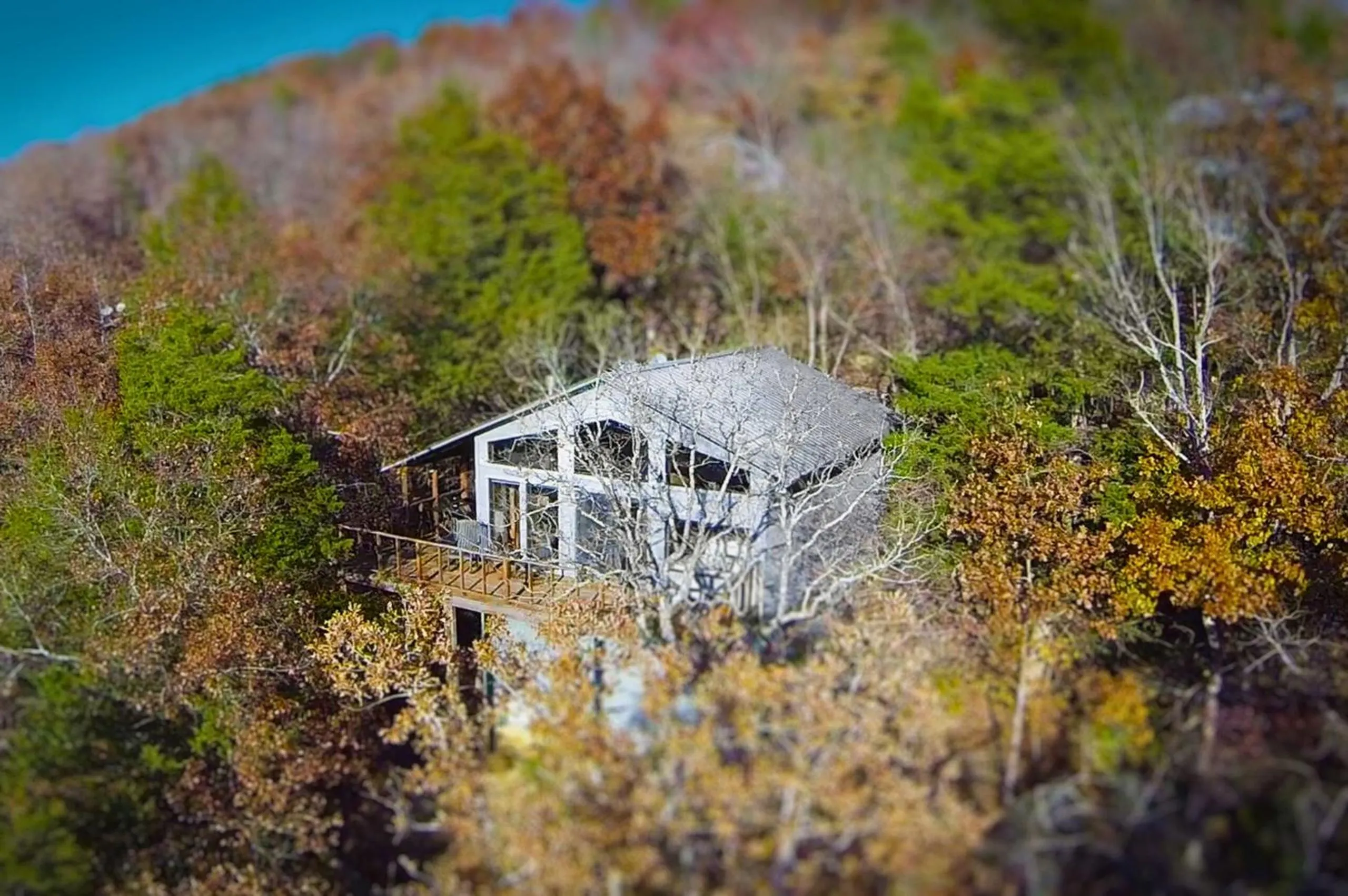 Natural landscape in Beaver Lakefront Cabins - Couples Only Getaways