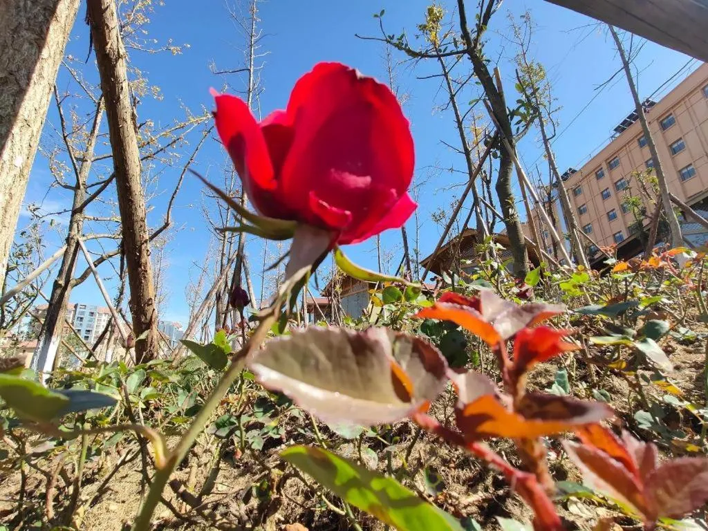 PARK INN KUNMING AIRPORT