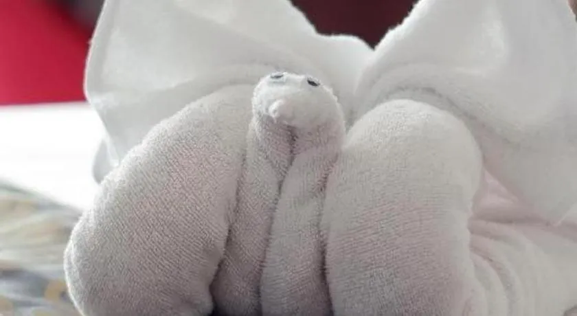 Bed in Horison Nindya Semarang