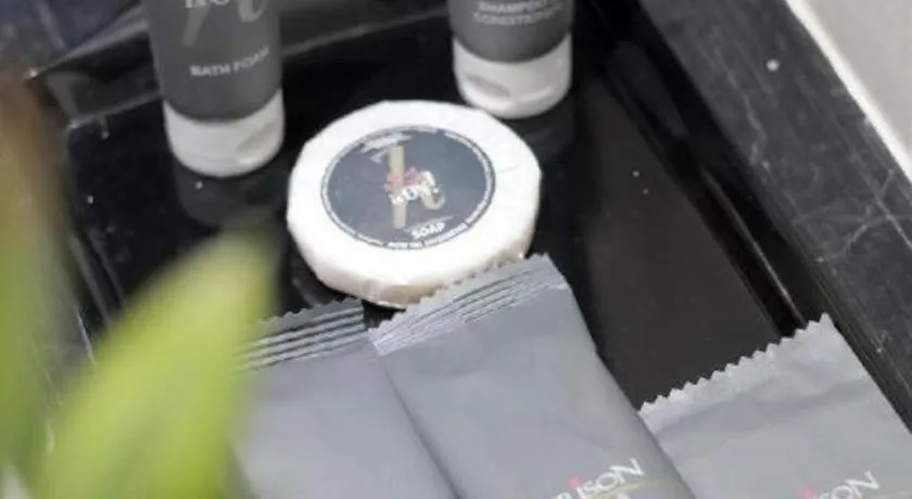 Horison Nindya Semarang