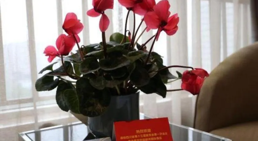 Liwan International Hotel Chengdu