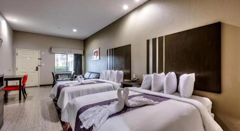 Bed in Americas Best Value Inn and Suites IAH Airport North