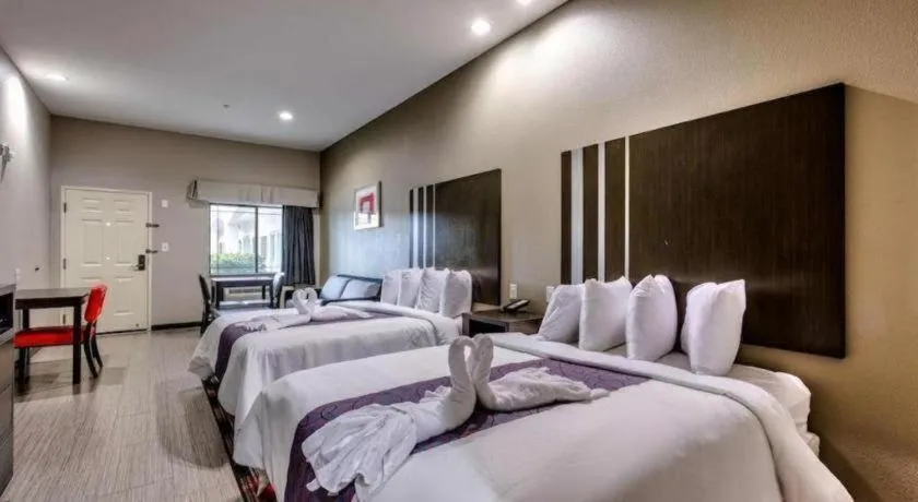 Bed in Americas Best Value Inn and Suites IAH Airport North