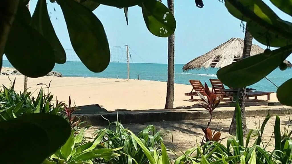 Aquarius Resort
