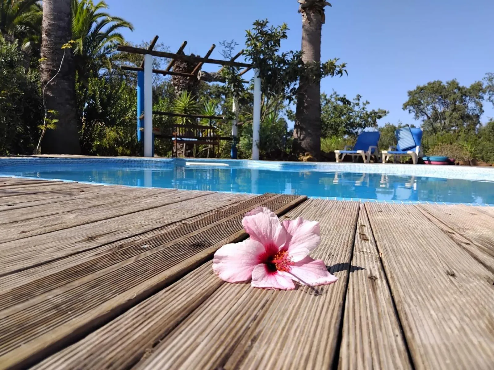 Quinta do Paraiso