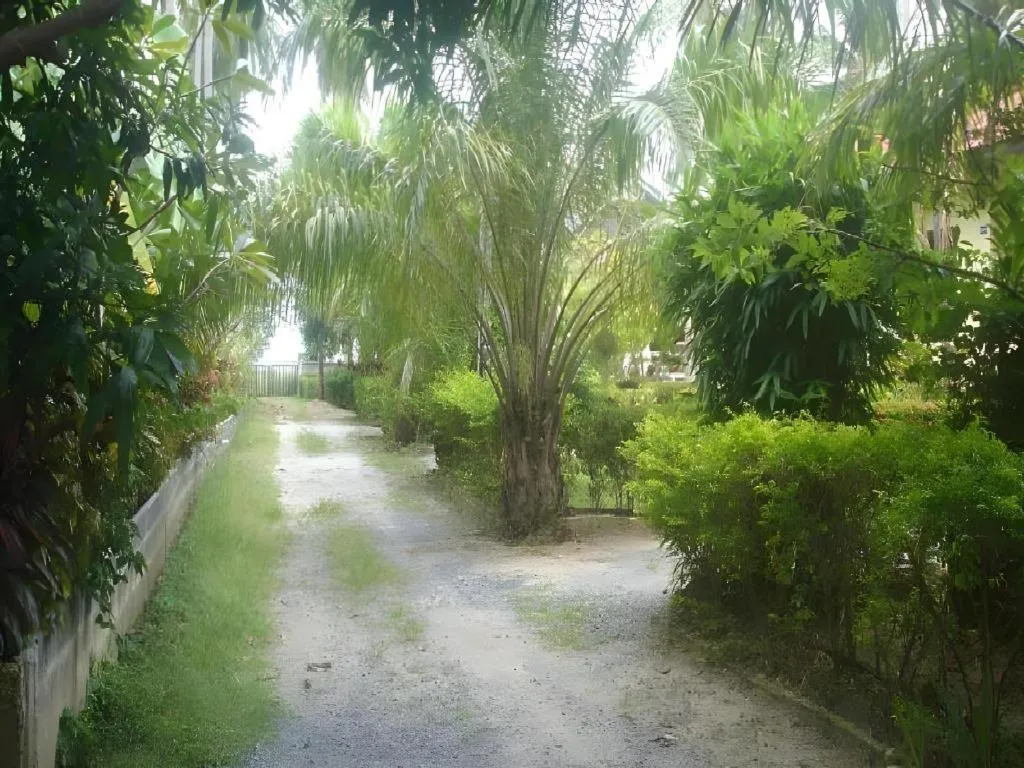 Samui Natien Village