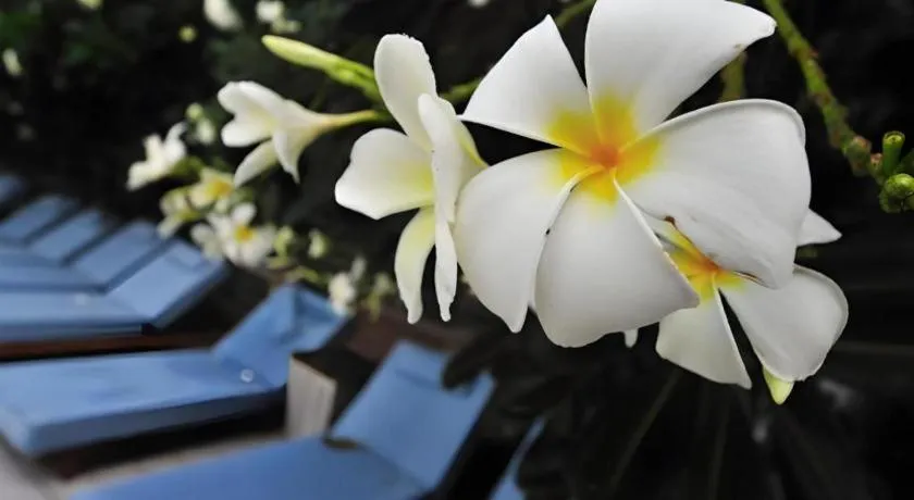 Ramada by Wyndham Phuket Southsea