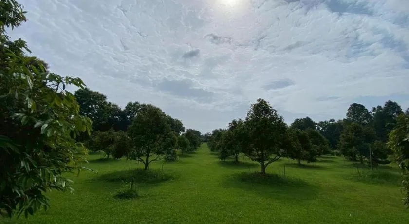 Chiangkham Luang Resort